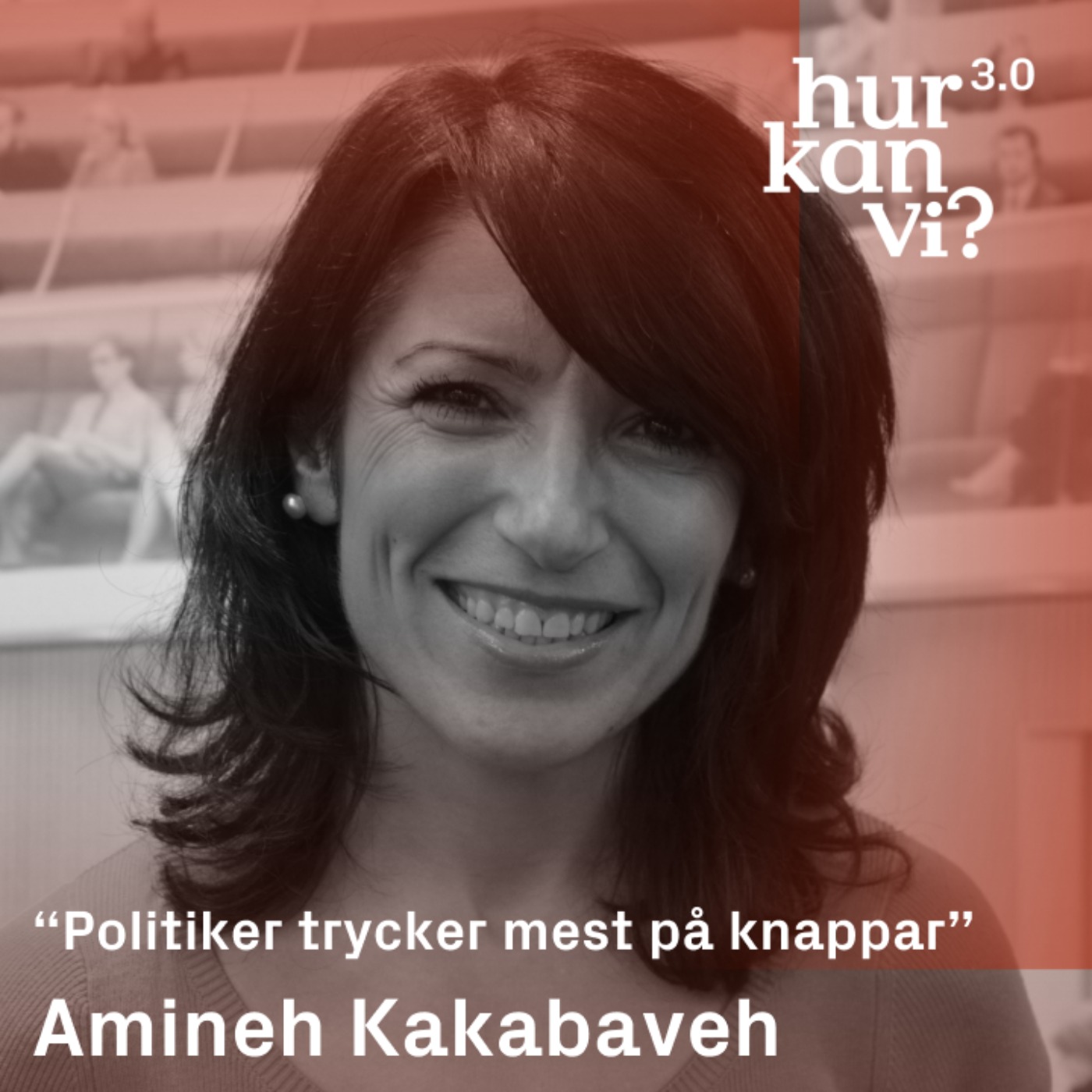 Amineh Kakabaveh  - “Politiker trycker mest på knappar”