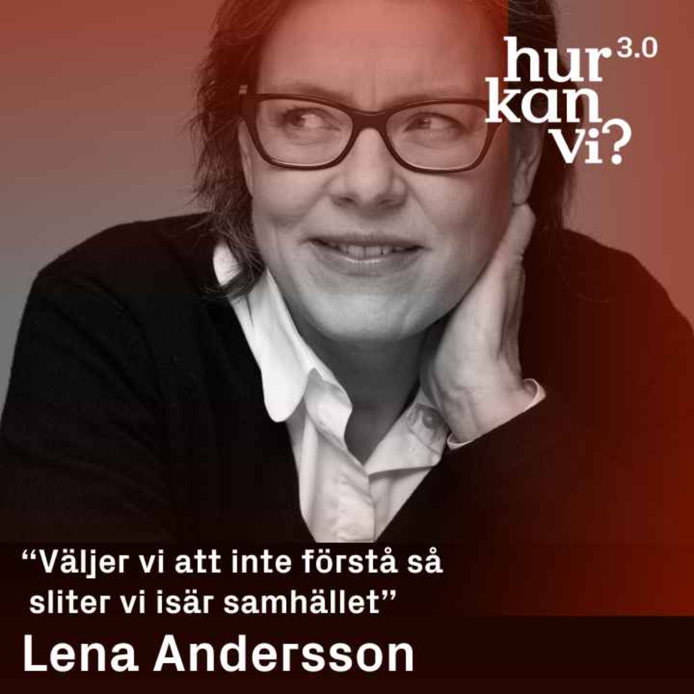 Lena Andersson - “Väljer vi att inte förstå så sliter vi isär samhället”