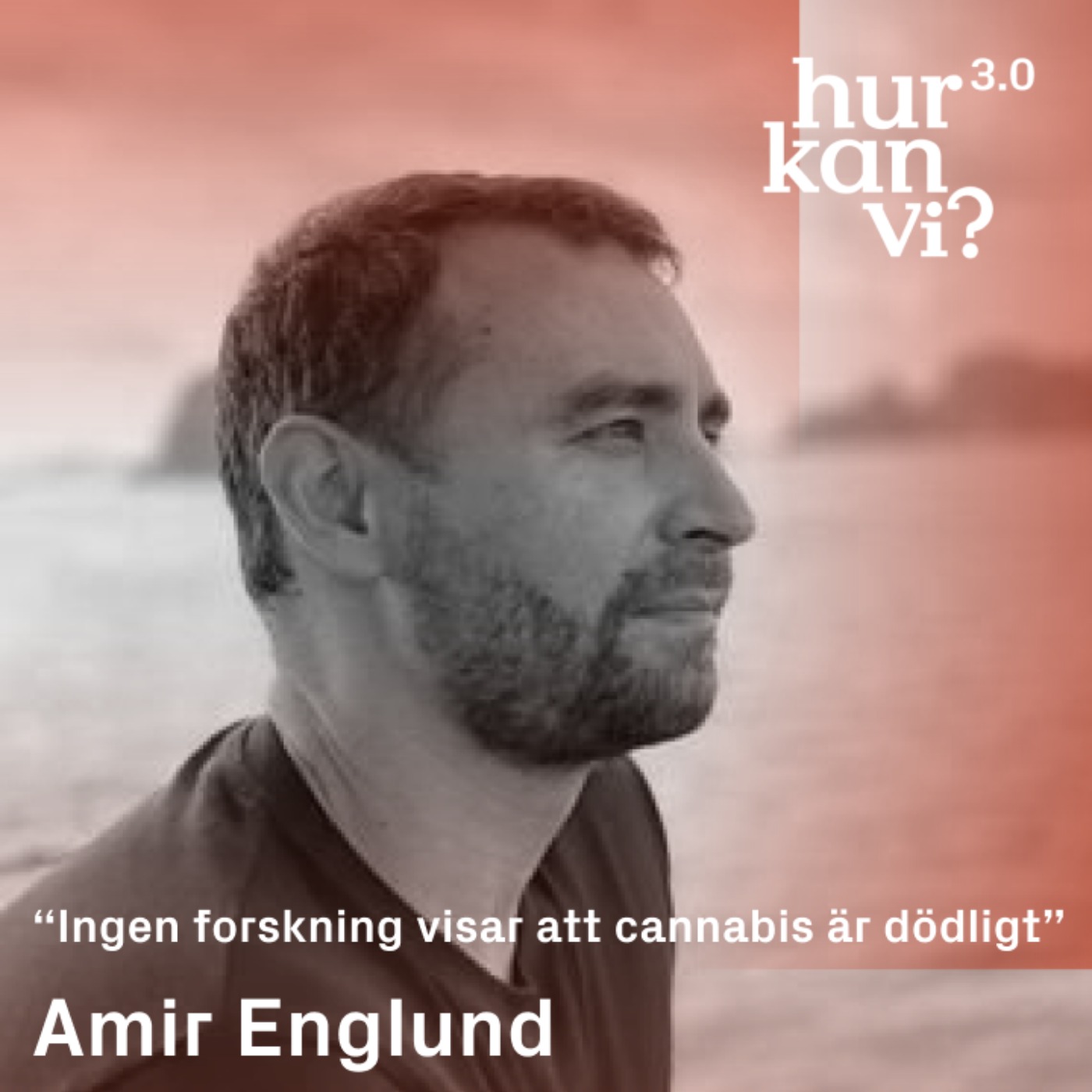 Amir Englund - “Ingen forskning visar att cannabis är dödligt”