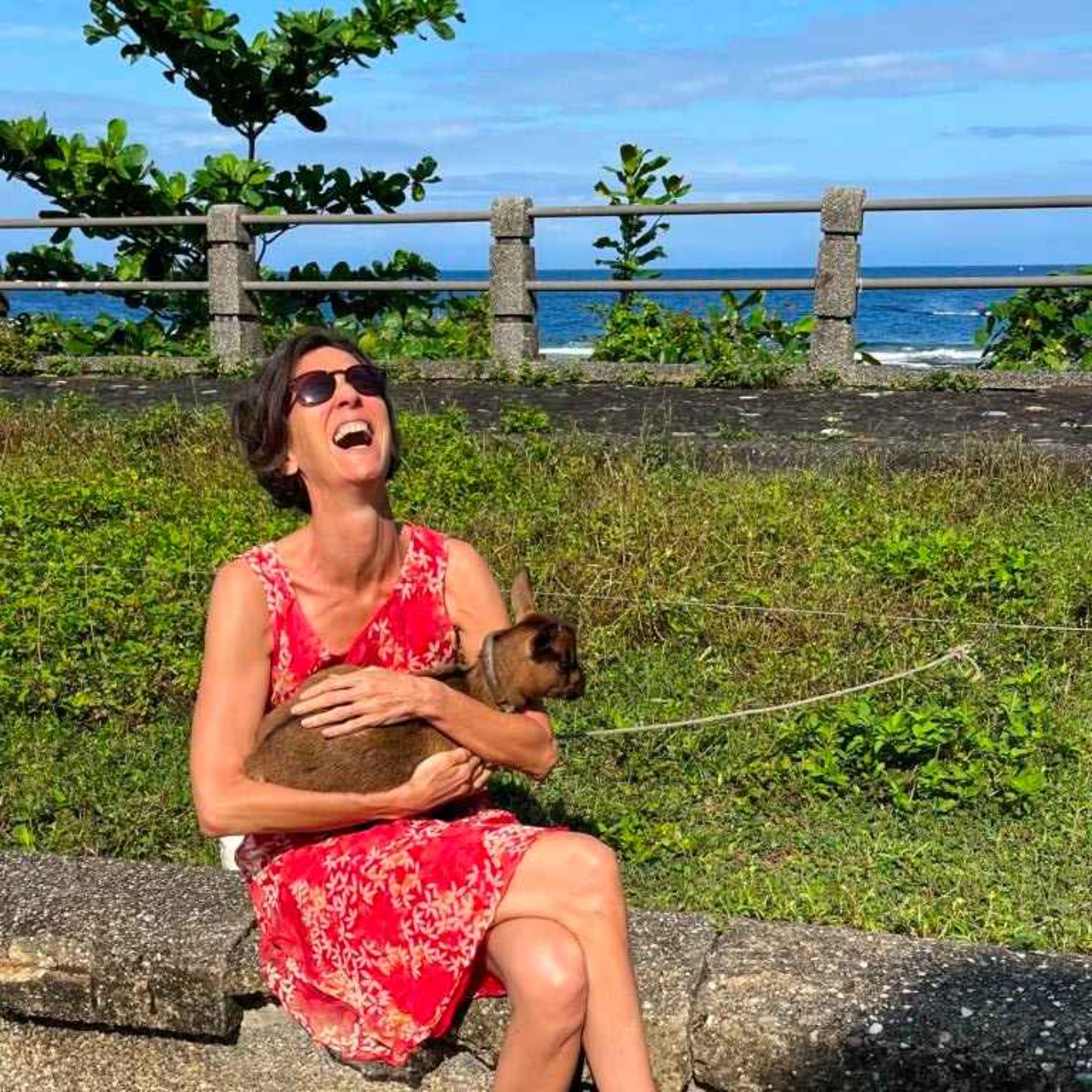 ROC Taiwan : la singularité d\'une île
