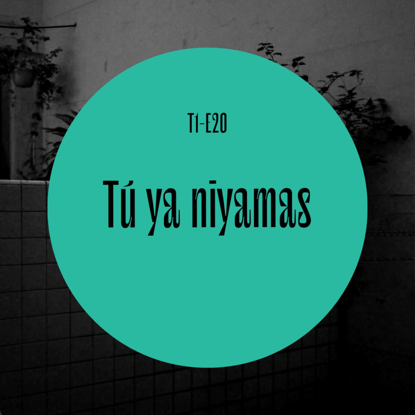 cover art for 20 | Tú ya niyamas