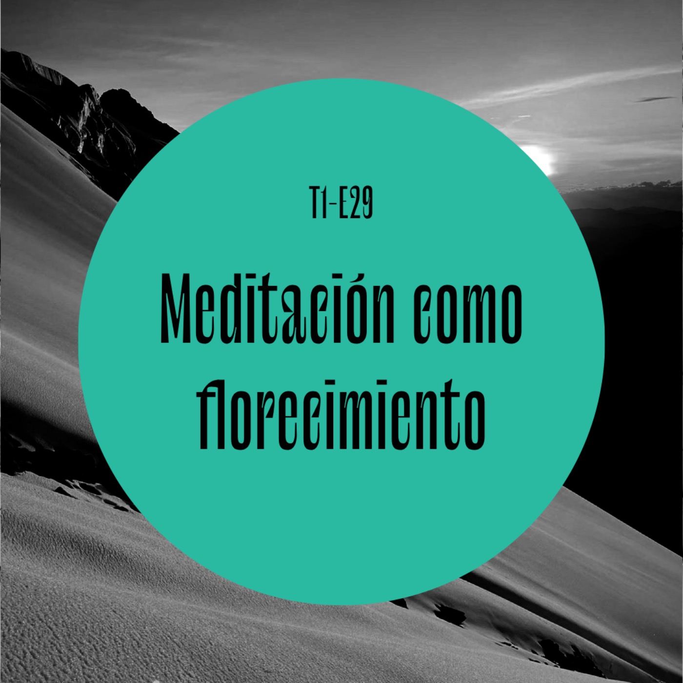 29 | La meditación como florecimiento