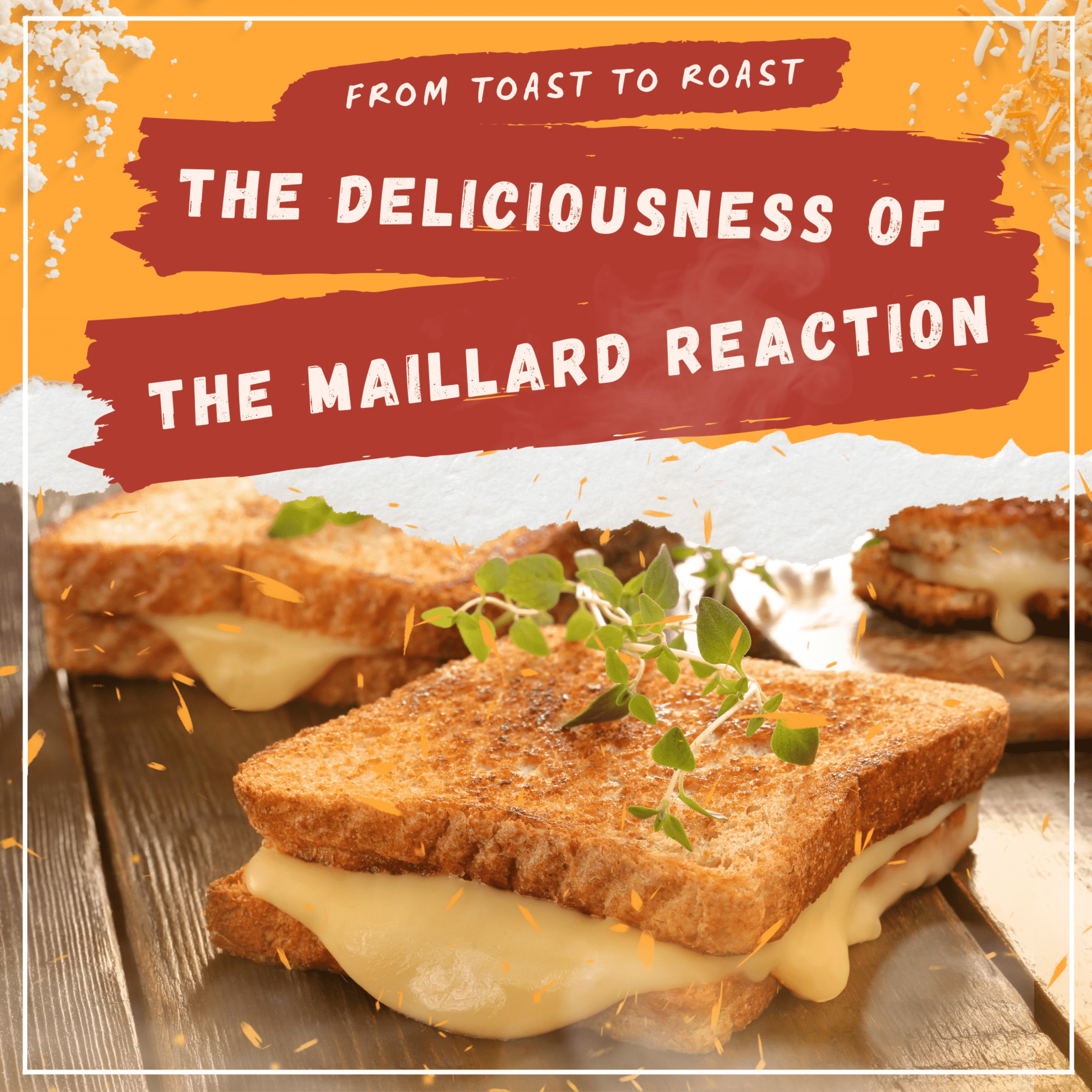 From Toast To Roast: The Deliciousness Of The Maillard Reaction