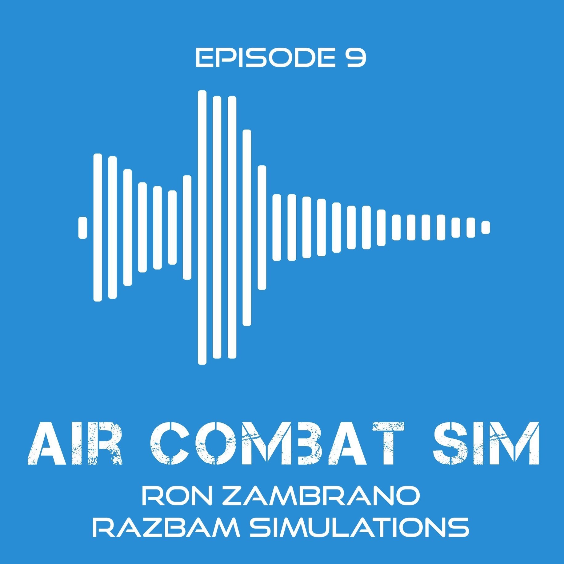 Air Combat Sim Podcast - Episode #9  Razbam Interview