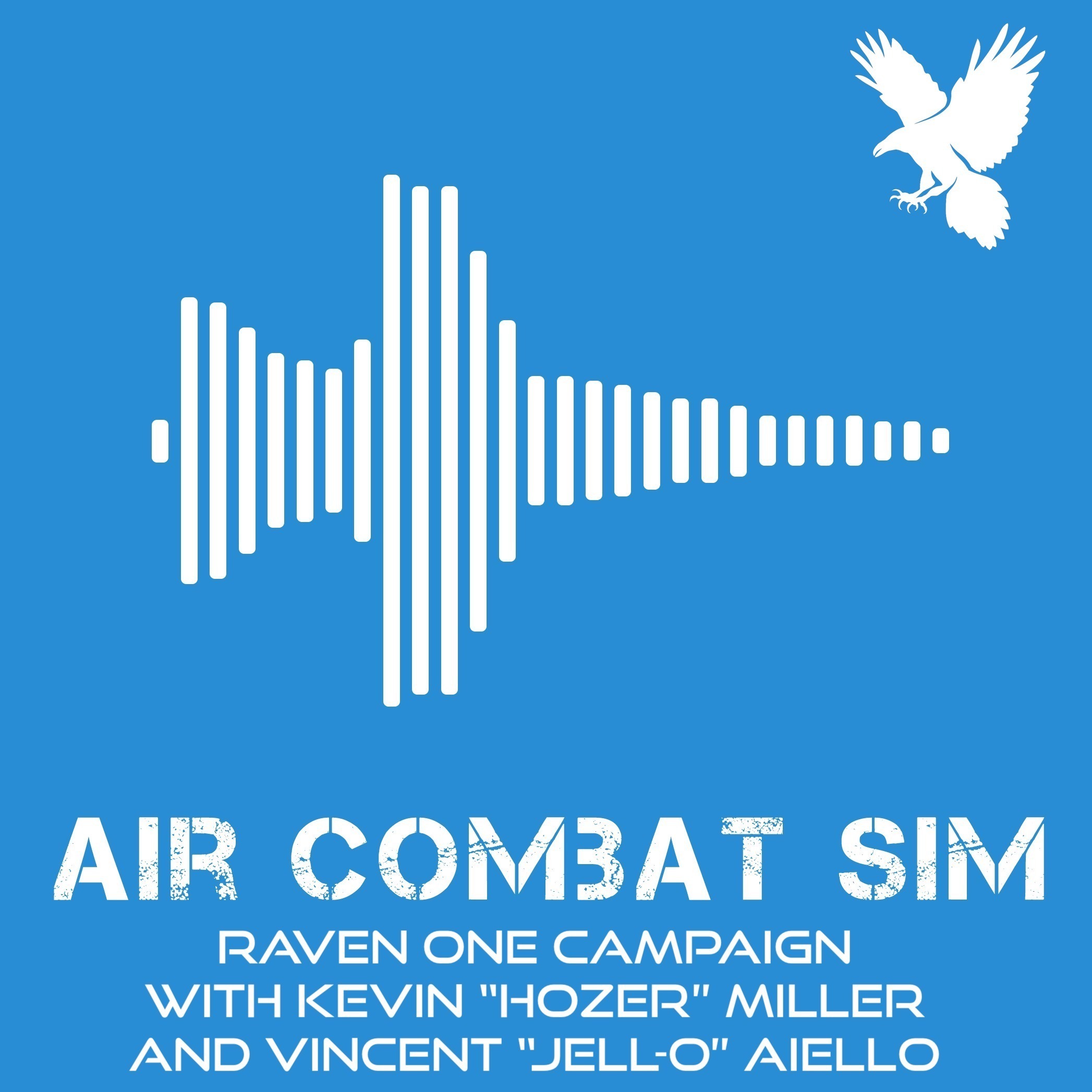 Air Combat Sim Podcast - Episode #12: Raven One Campaign with Keven 