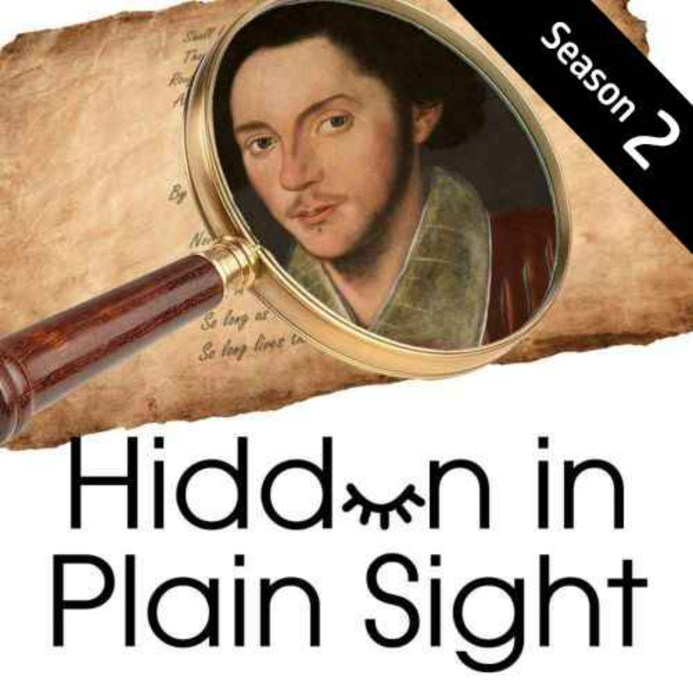 Hidden in Plain Sight - The HIPS Podcast