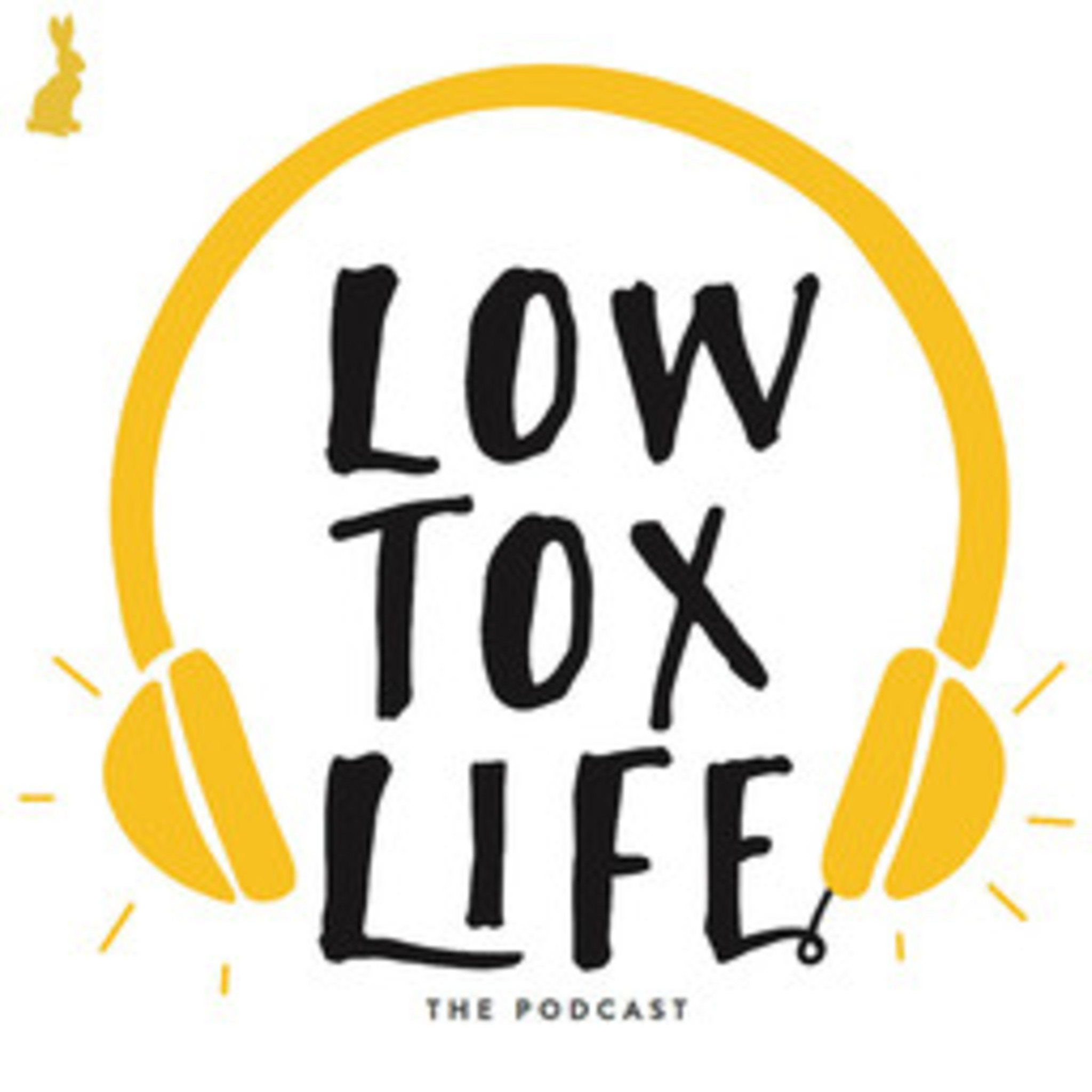 Show #50 A look back at Year 1 of the Low Tox Life