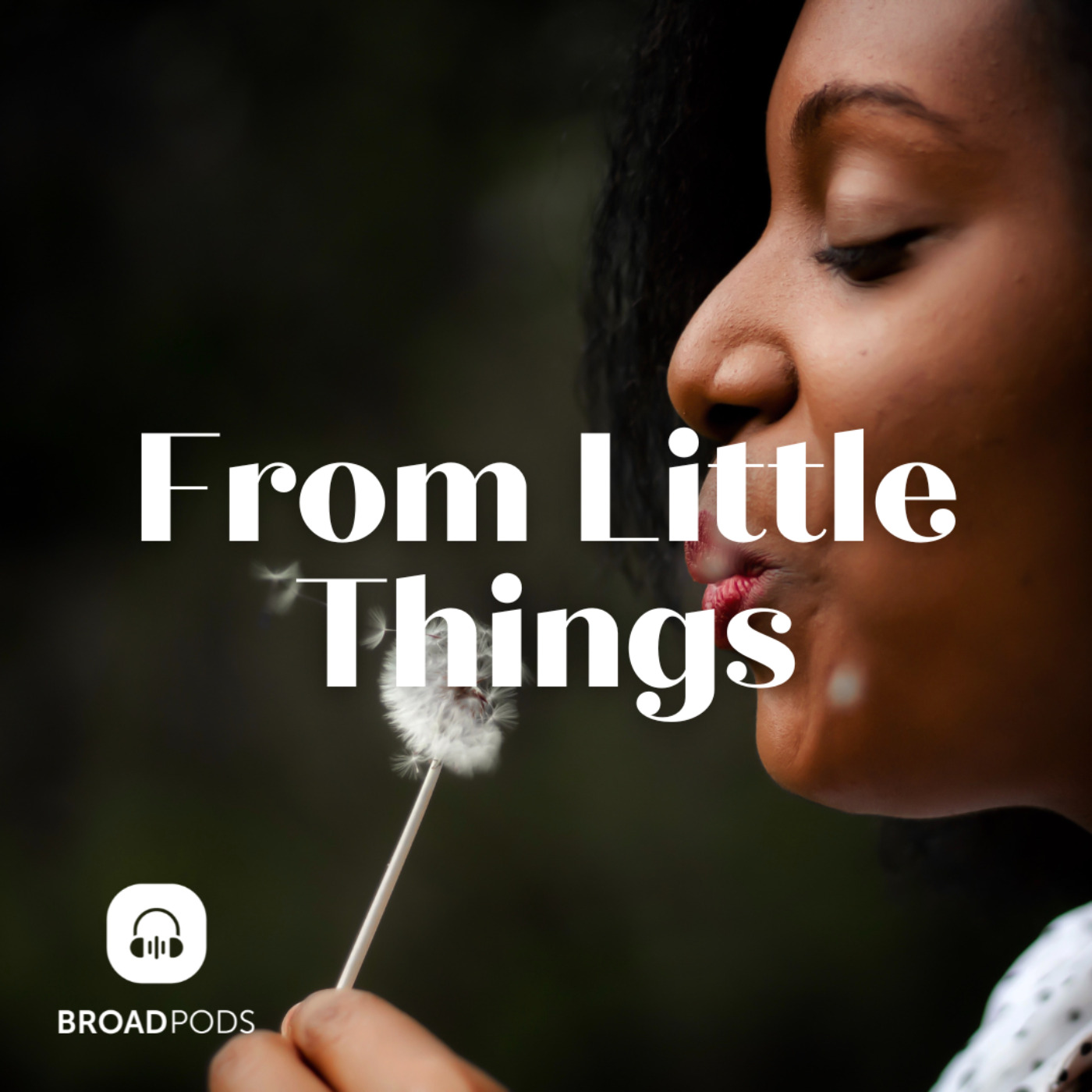 cover art for From Little things - Winitha Bonney OAM