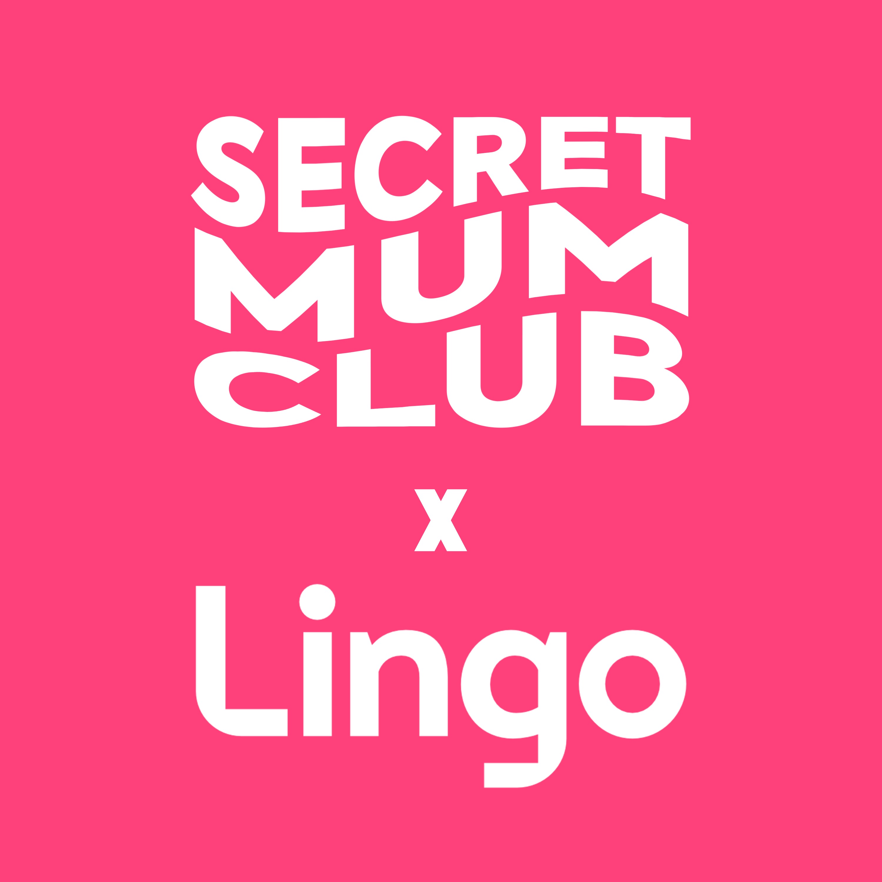 Mums On A Mission: Introducing Lingo