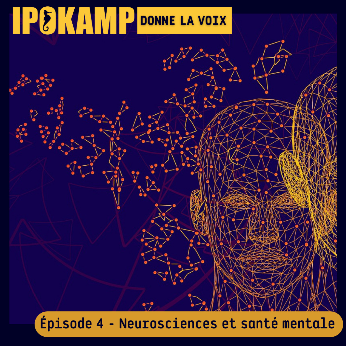 IPOKAMP