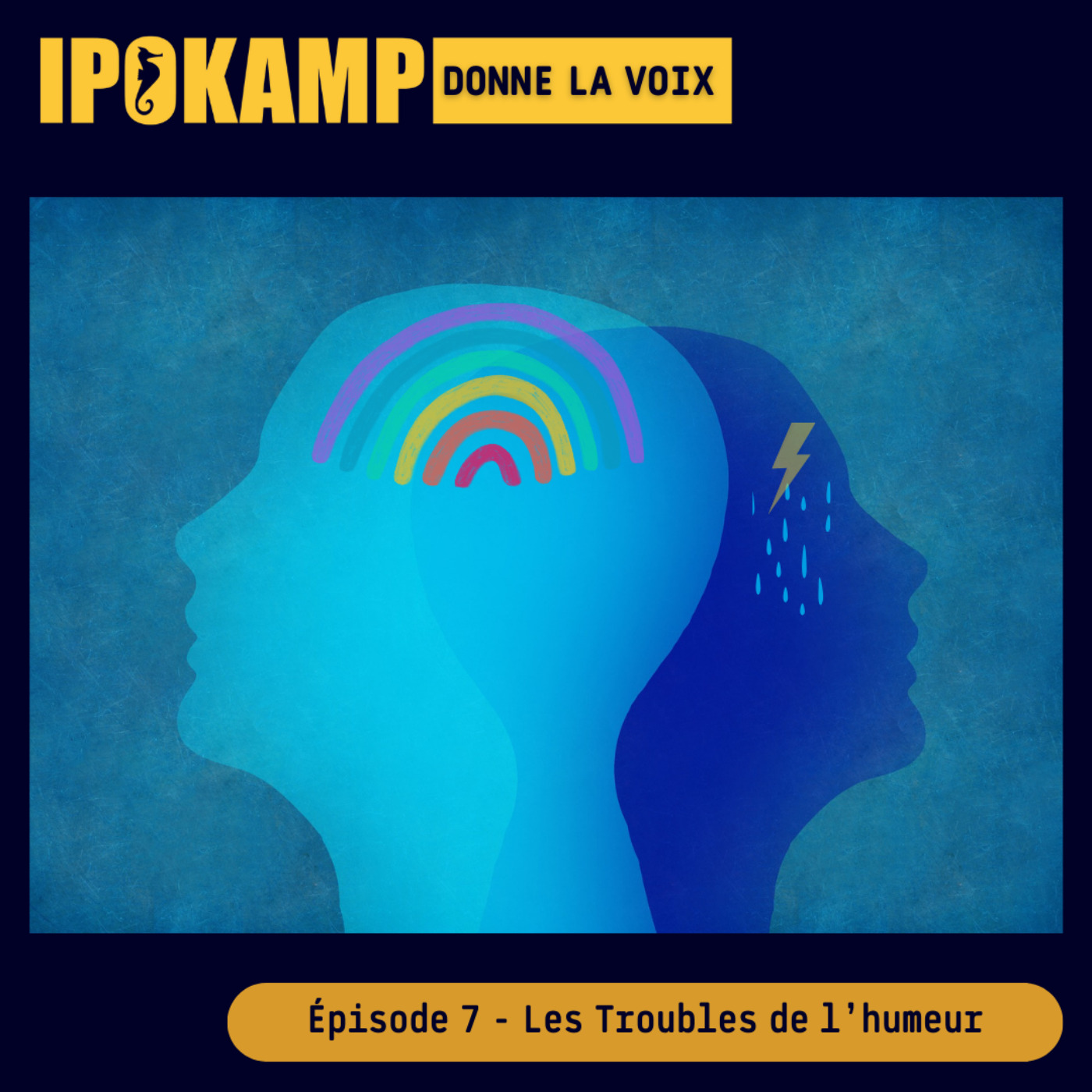 IPOKAMP
