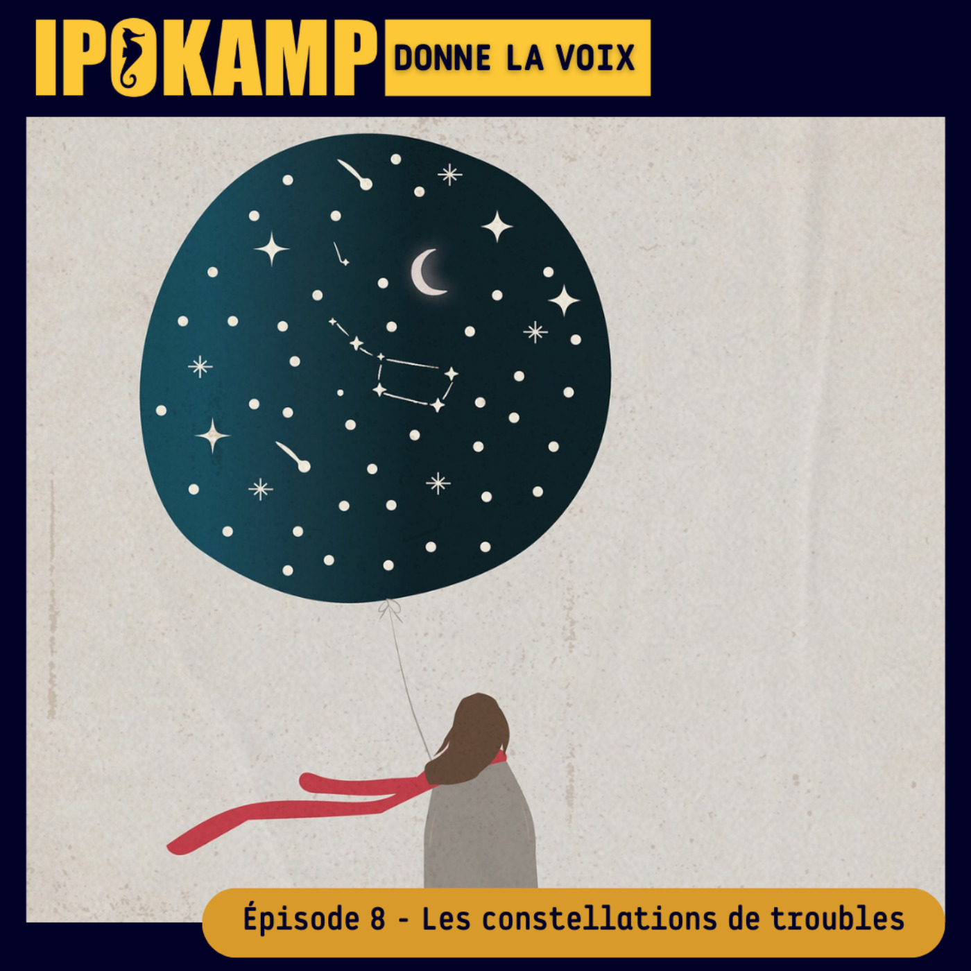 IPOKAMP