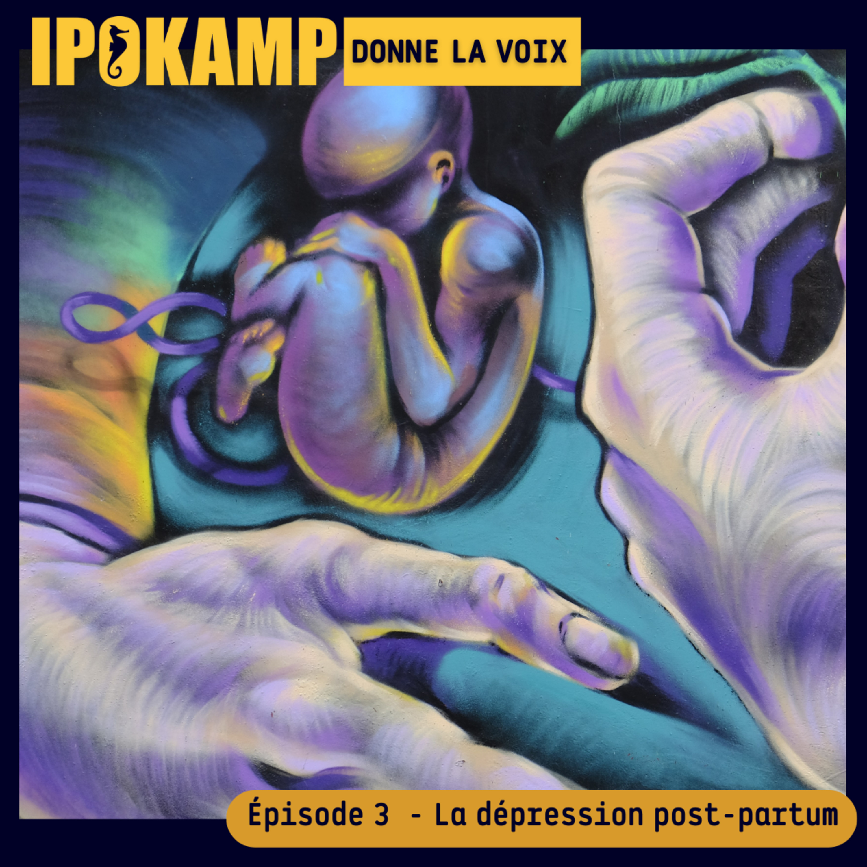 IPOKAMP