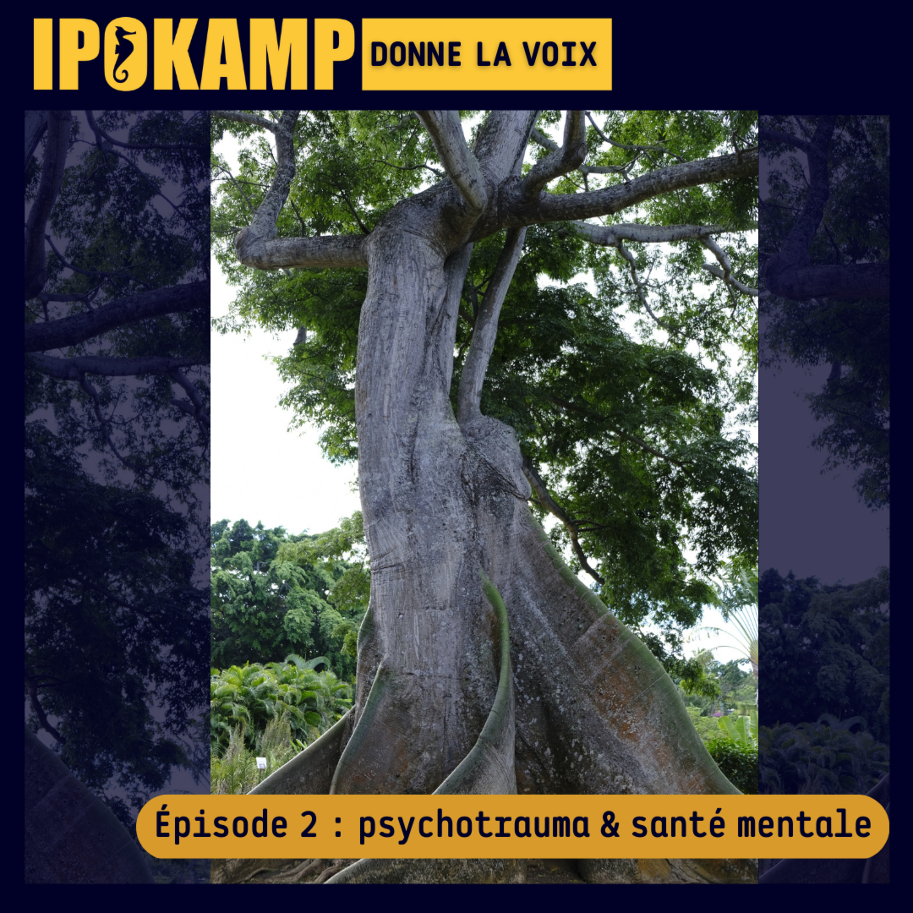 IPOKAMP