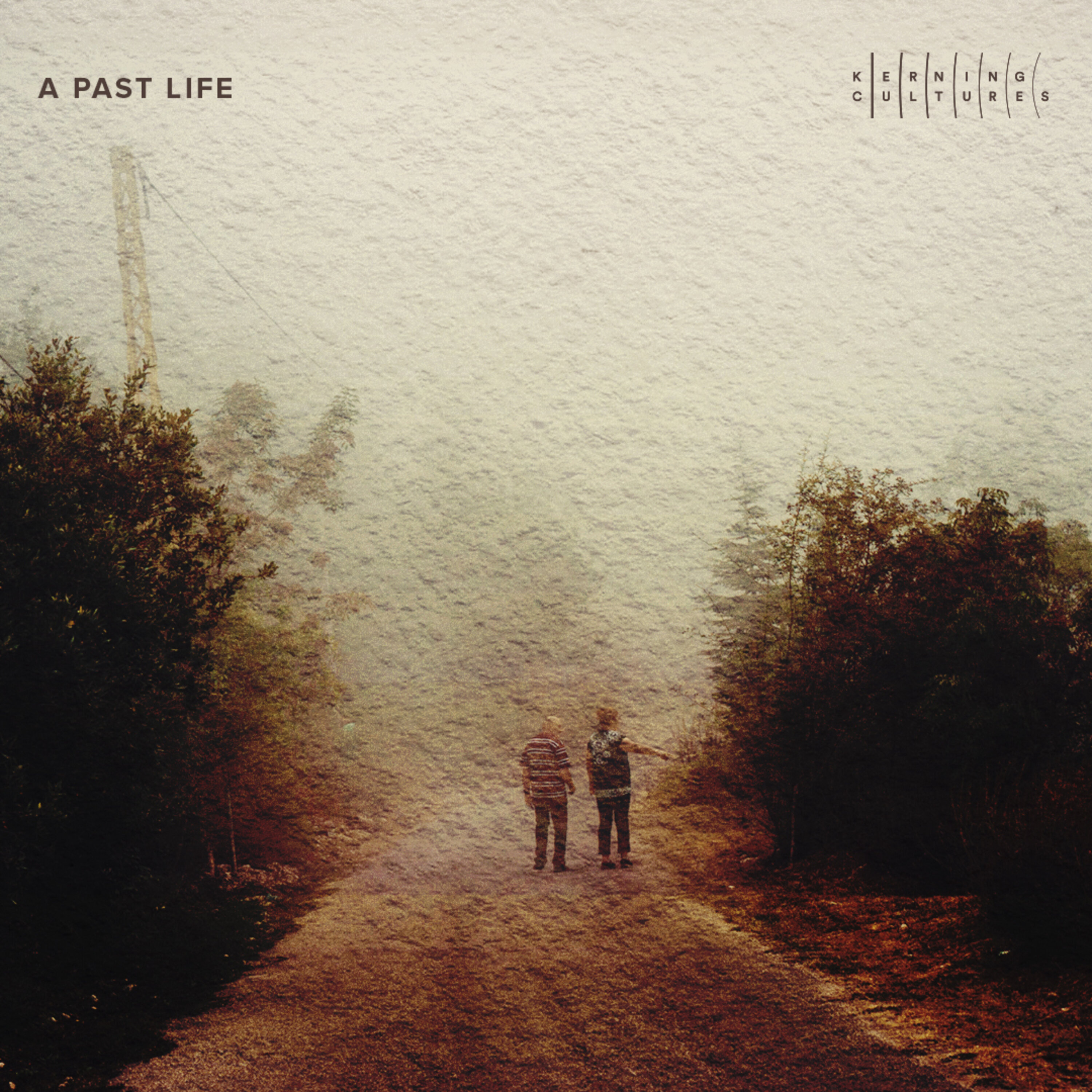 cover art for A Past Life