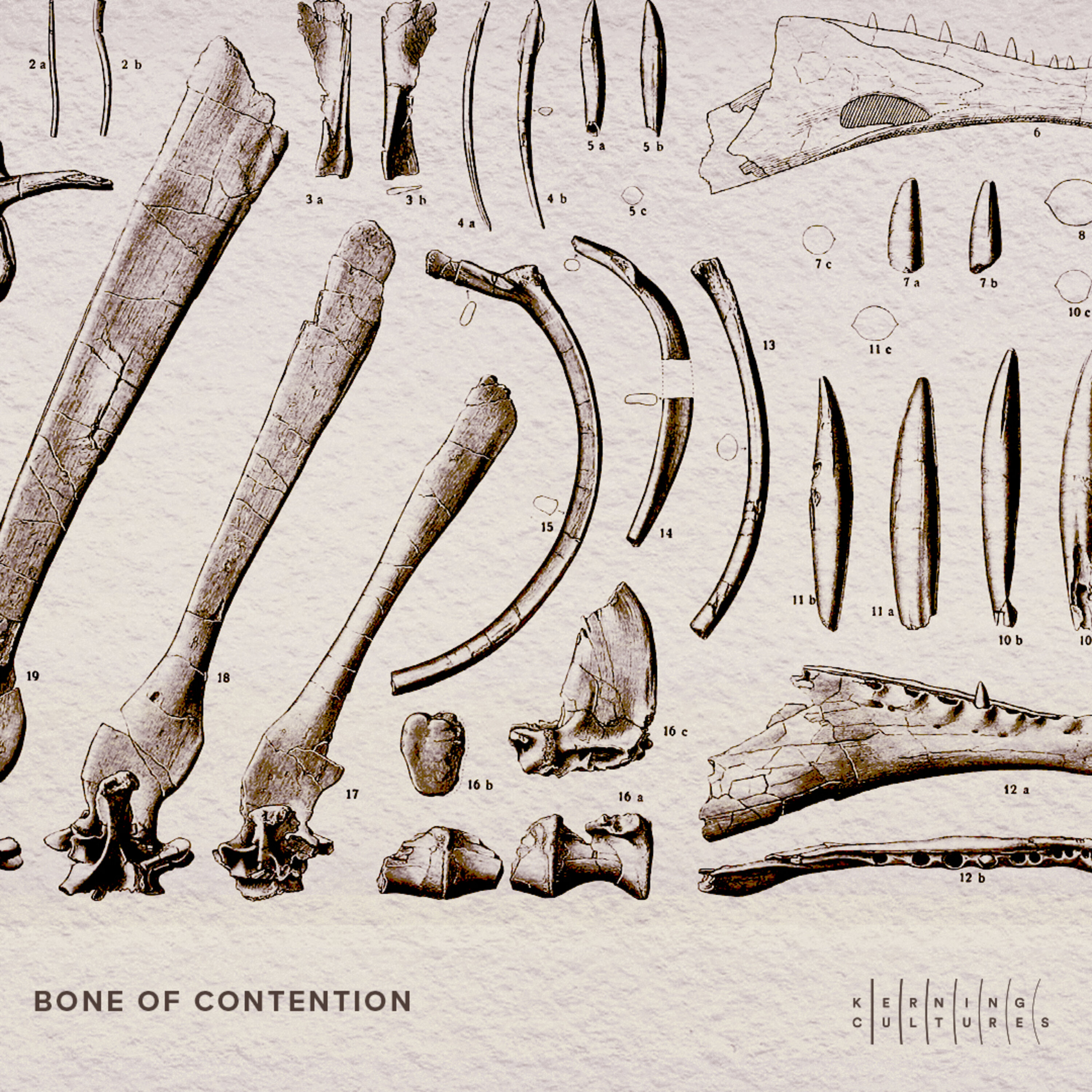 cover art for Bone of Contention