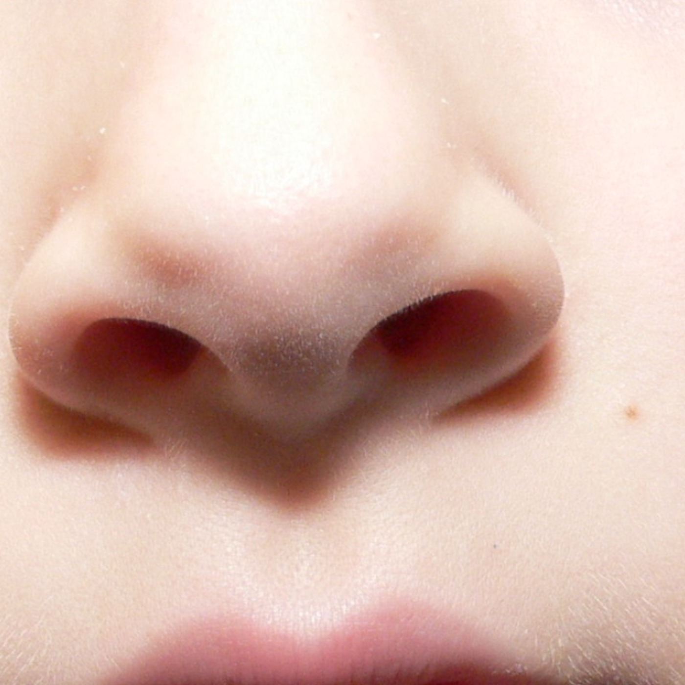My nose (nishaangun) - Anishinaabe WOTD
