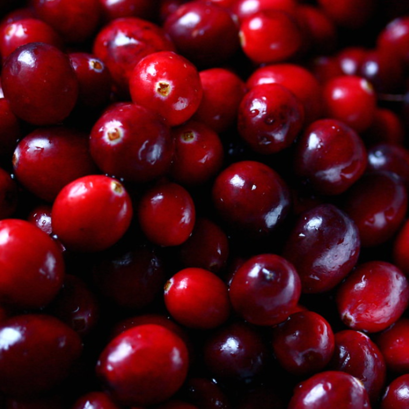 Cranberry (maskigaminan) - Anishinaabe WOTD
