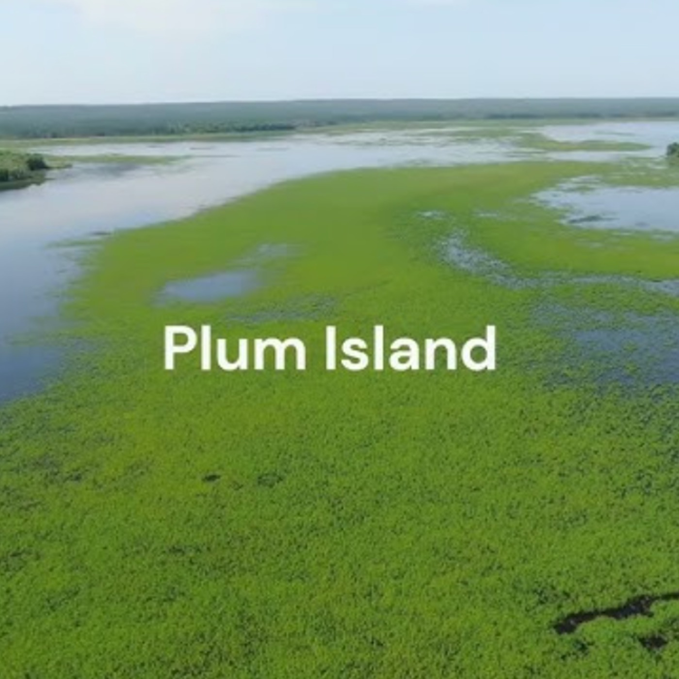 Plum Island (bagesaan minis) - Anishinaabe WOTD