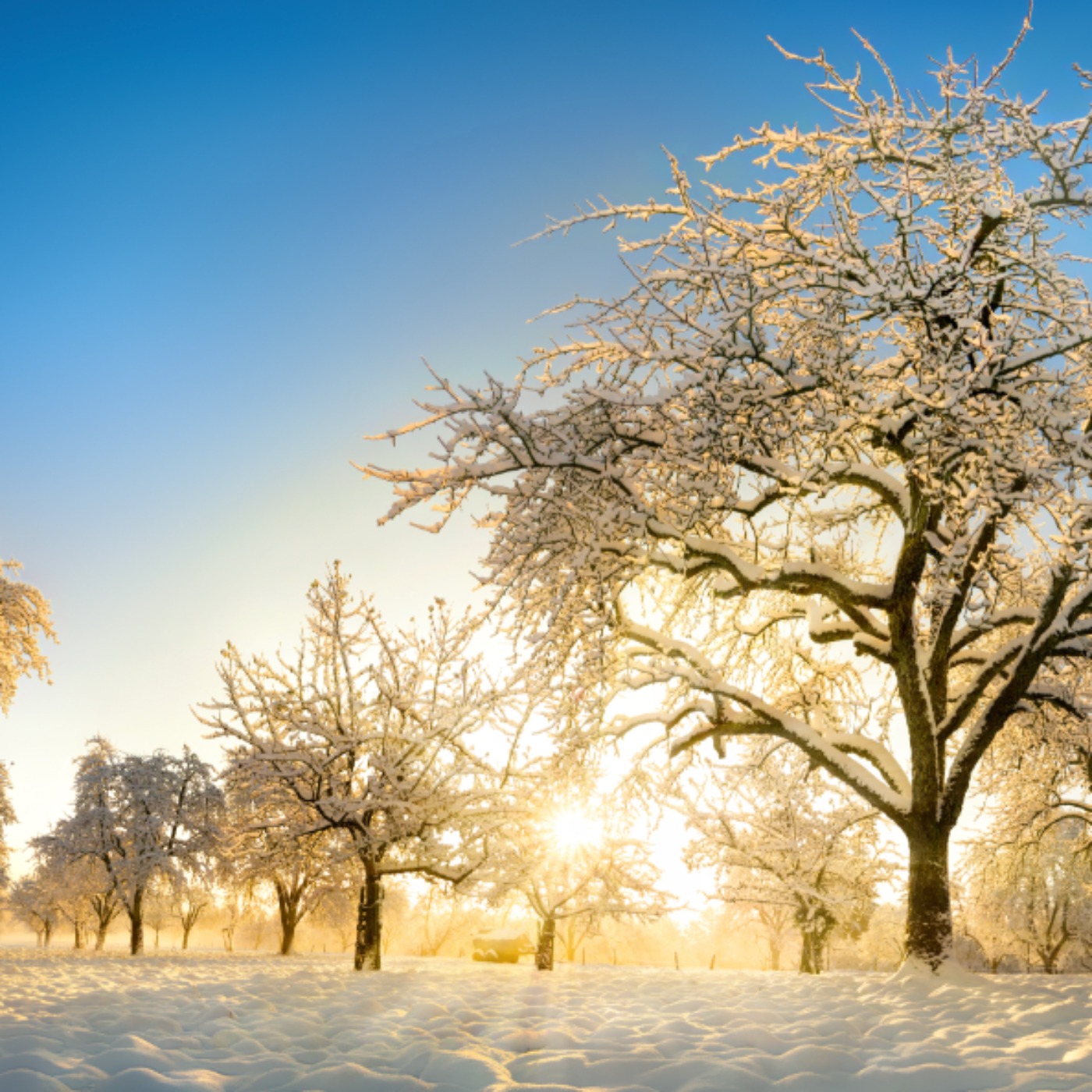 Winter (Biboon) - Anishinaabe WOTD