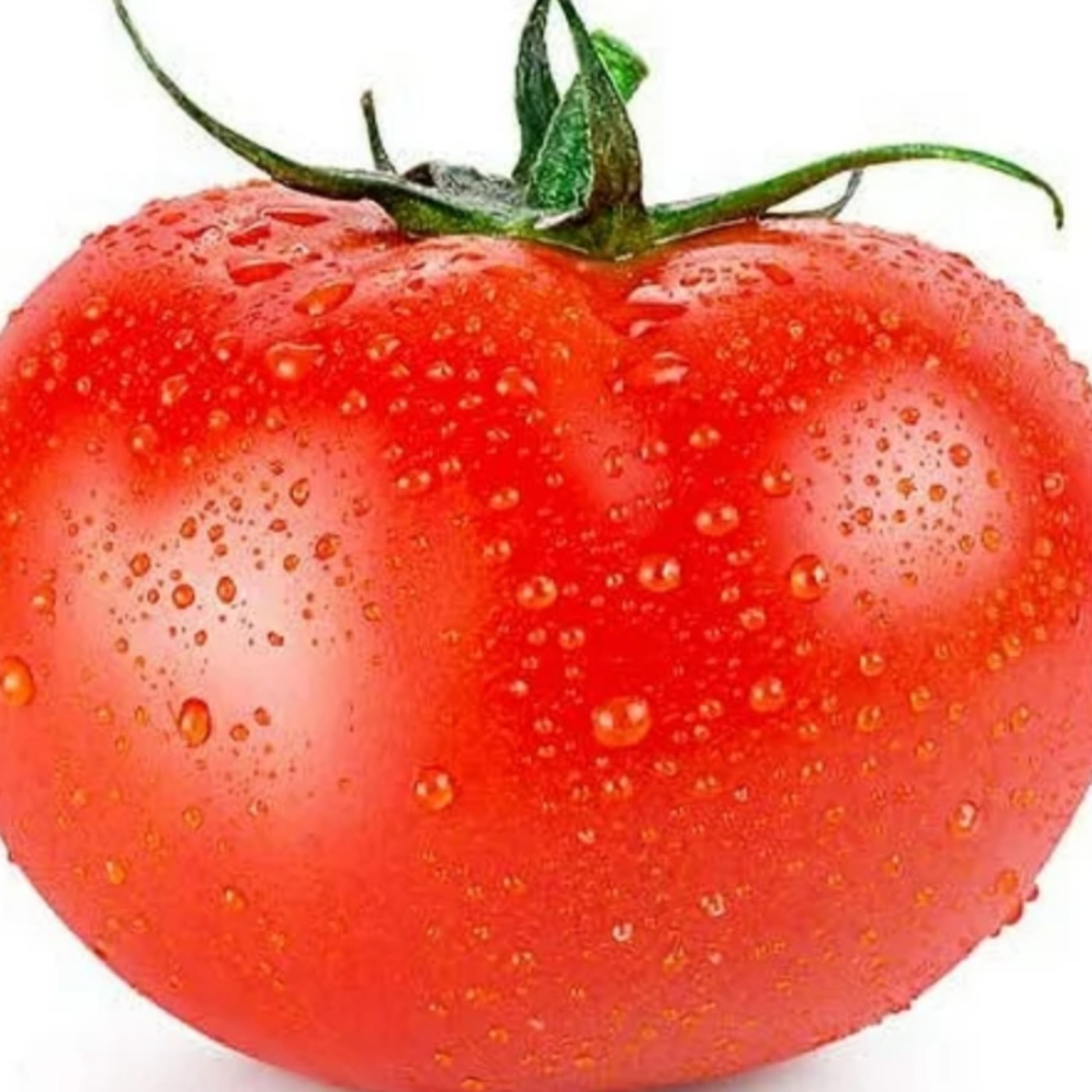 Tomato (gichi-ogin) - Anishinaabe WOTD