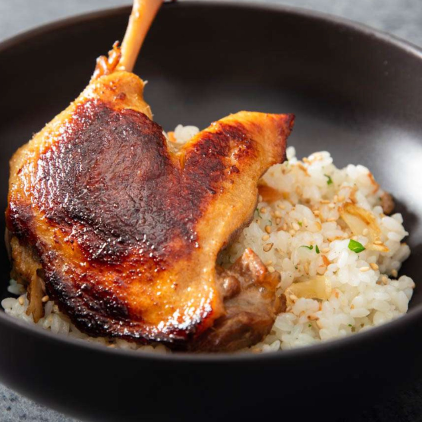 Duck with rice( zhiishiib minowah manoomin) - Anishinaabe WOTD