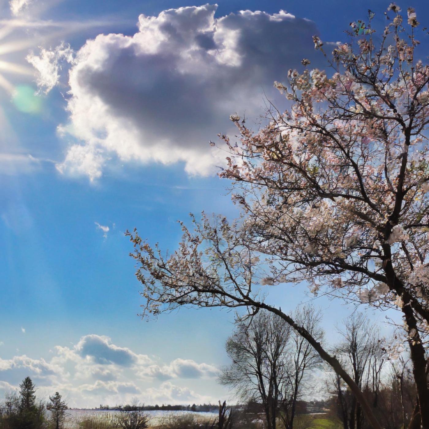 Spring (ziigwan) - Anishinaabe WOTD
