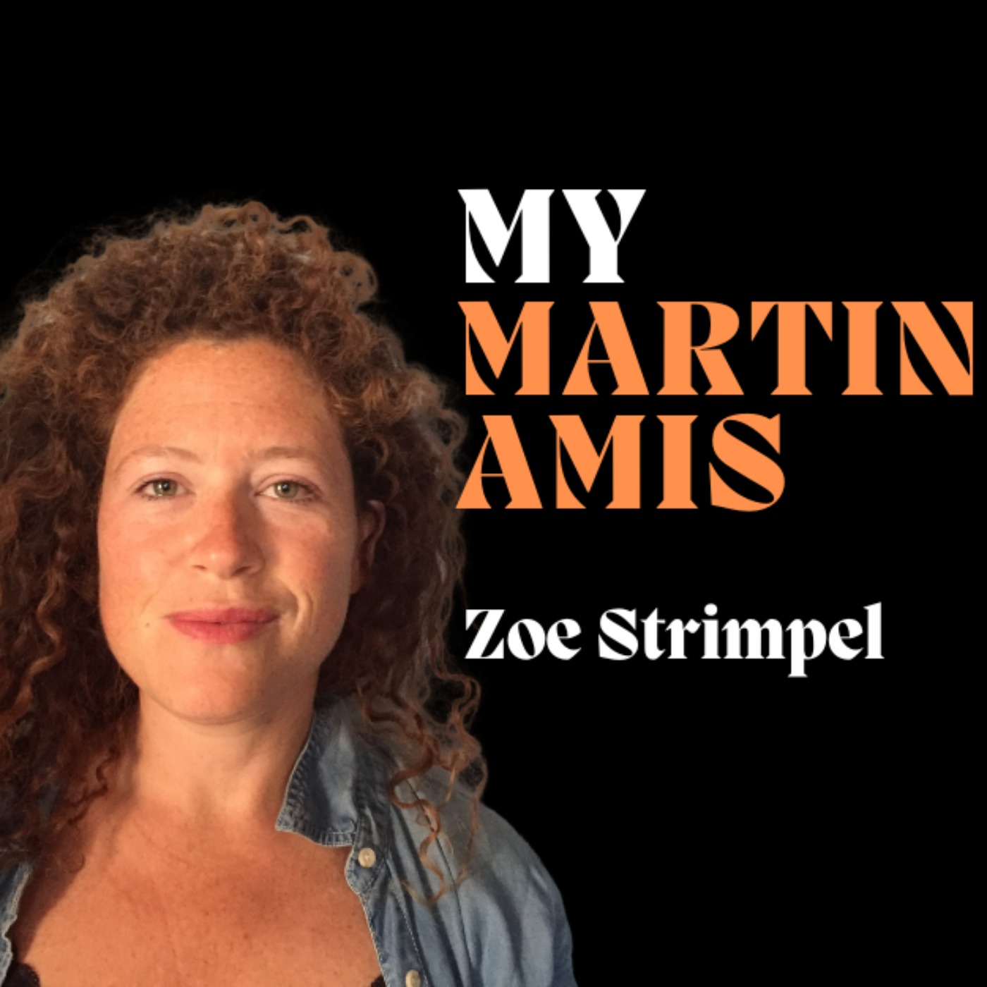 cover art for "Not everyone even remotely has Amis's descriptive ability." Zoe Strimpel