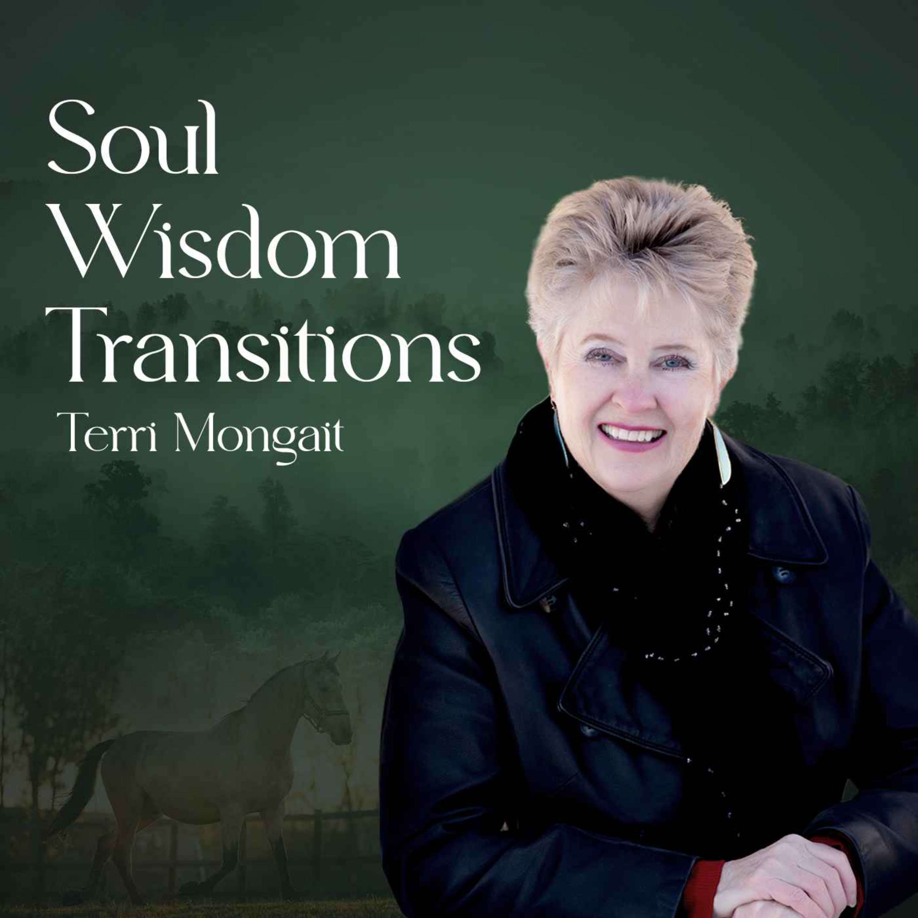 Soul Wisdom Transitions