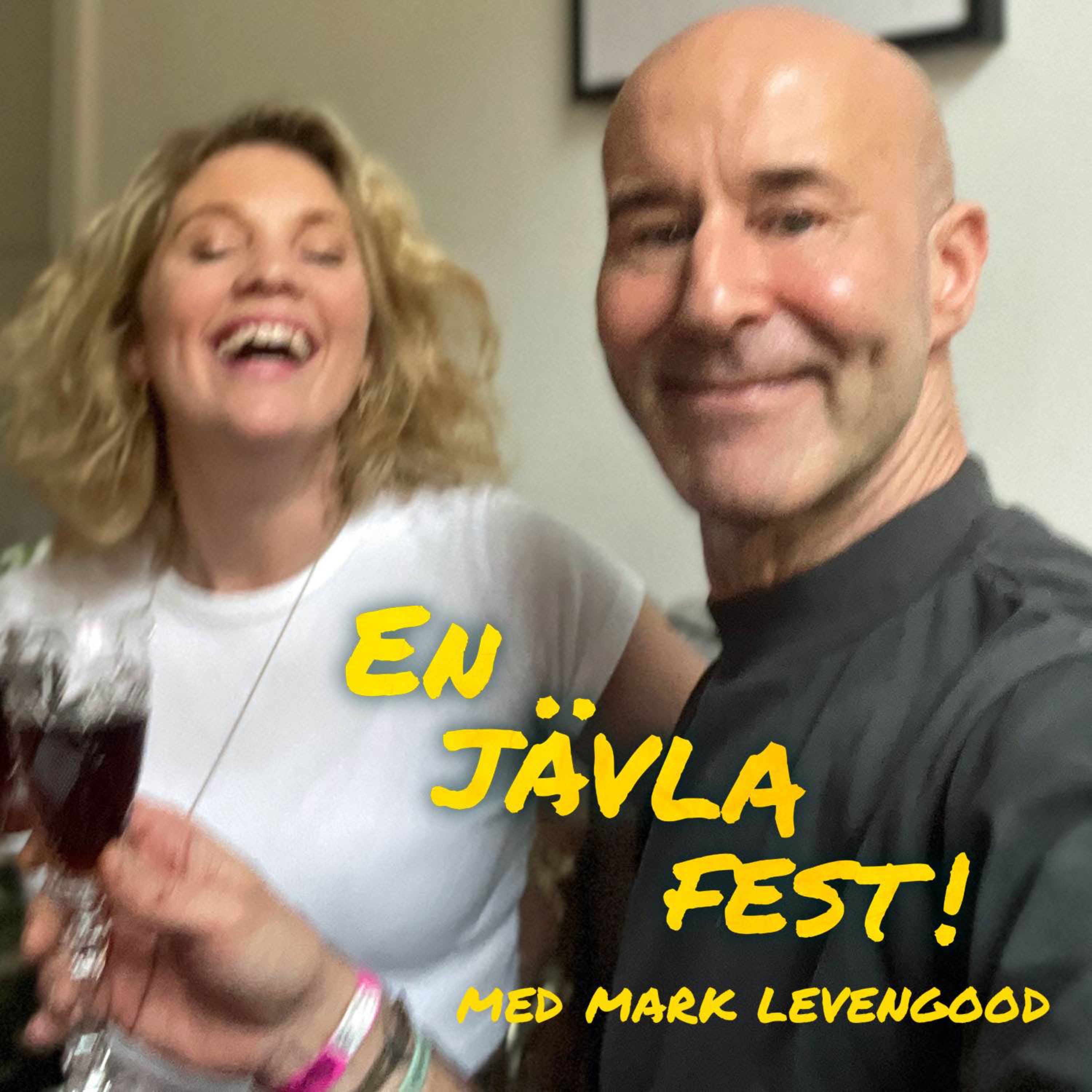 cover art for #26 En jävla fest med Mark Levengood!