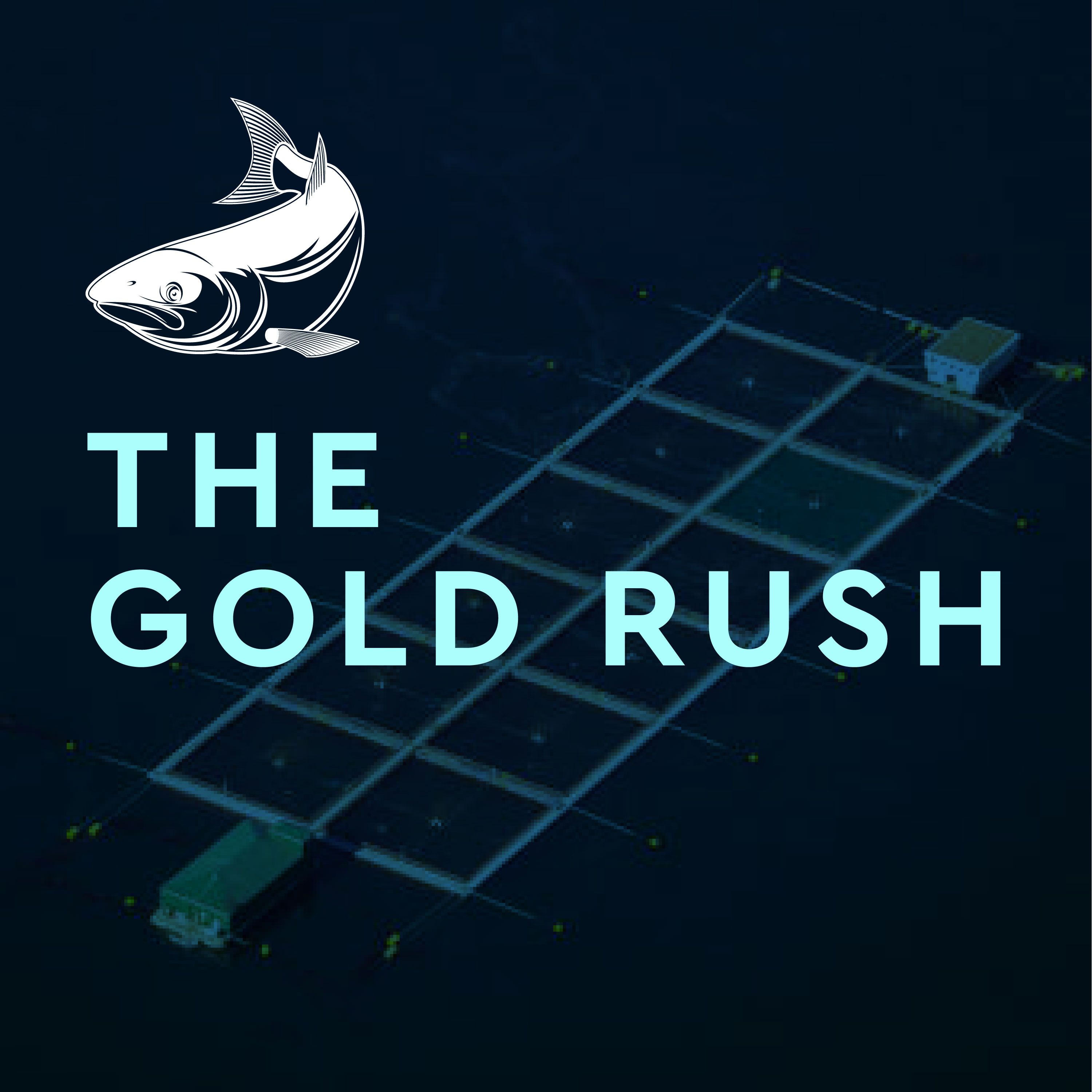 The Gold Rush