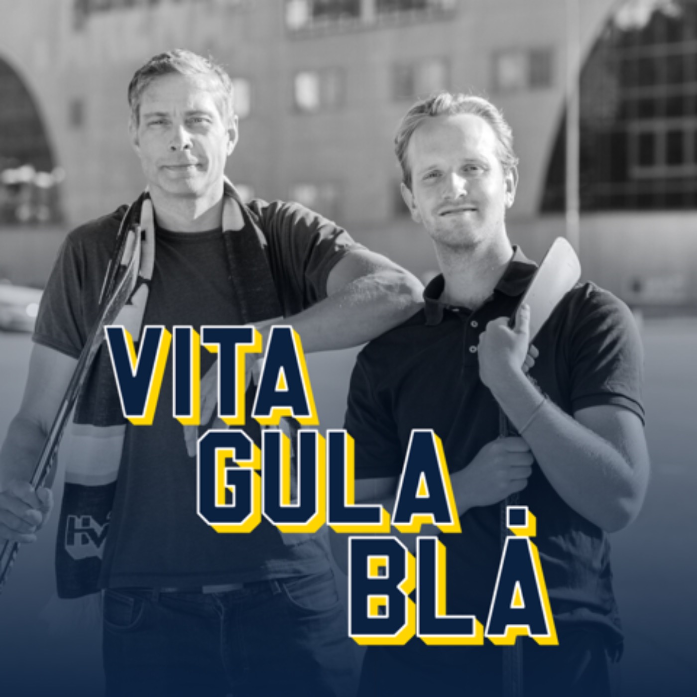 Artwork for Vita Gula Blå