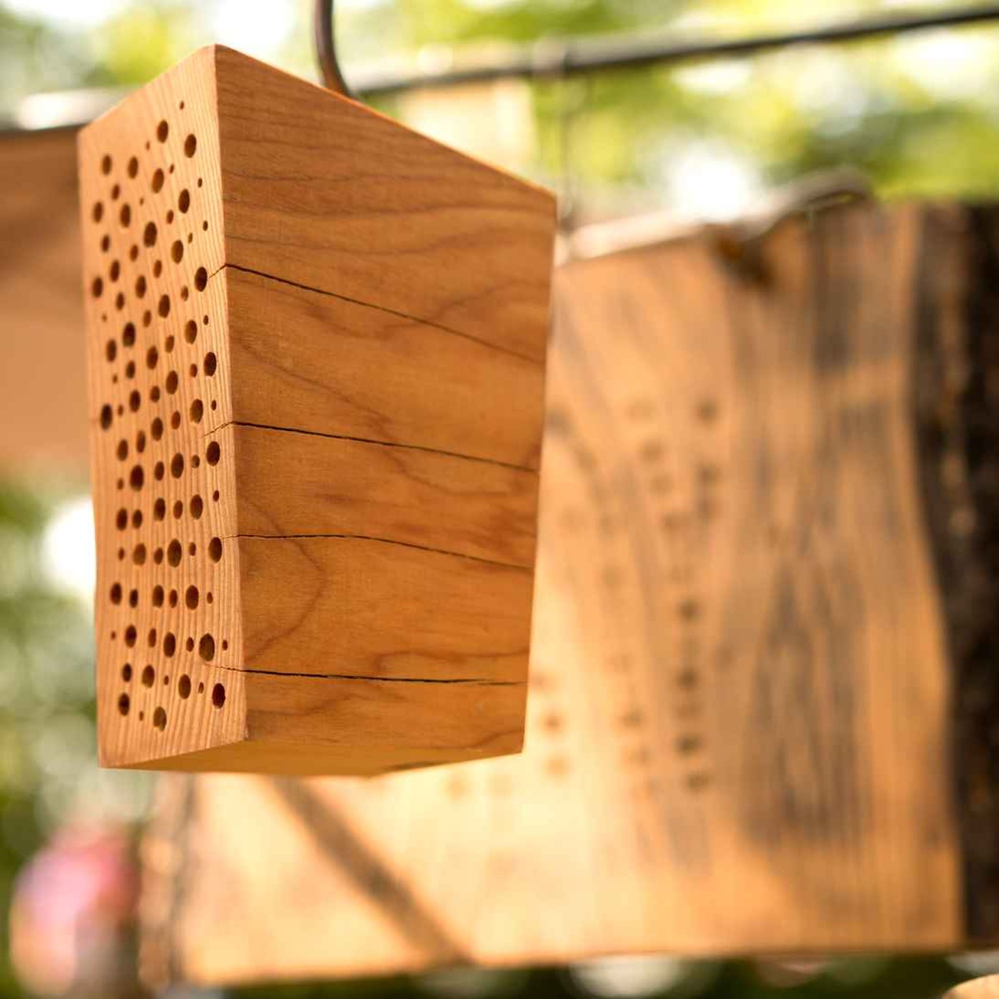 Du bourdonnement à la musique avec Yannick Lemesle