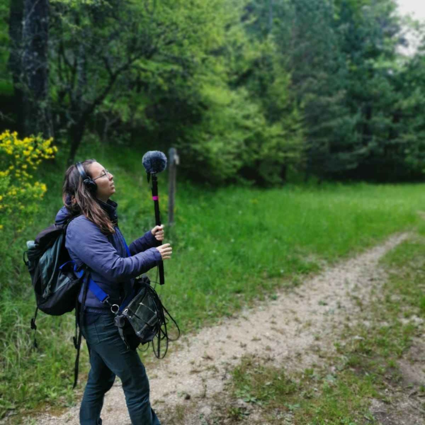 Forêt de Nans, concerto pour oiseaux et orages episode artwork
