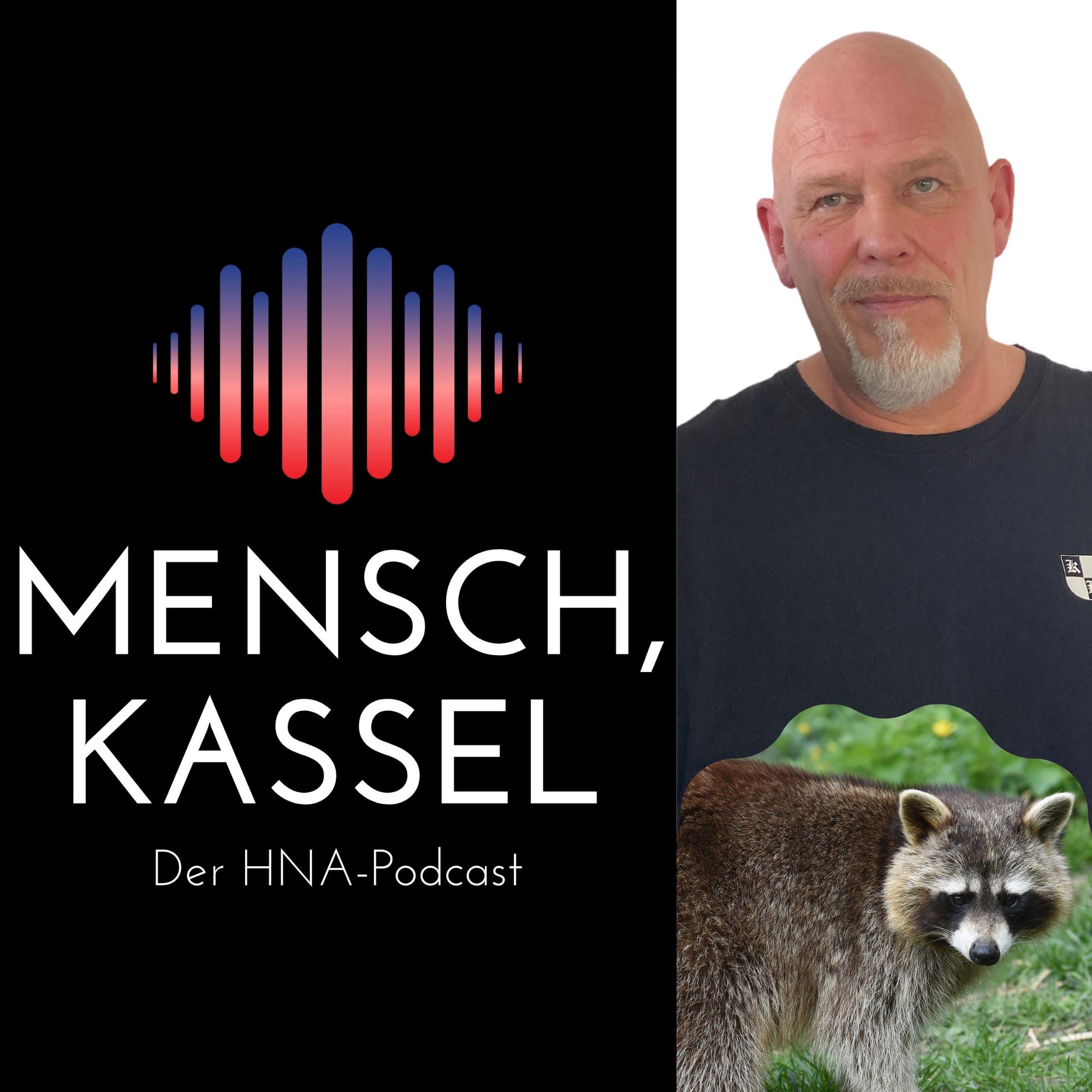 Mensch, Kassel