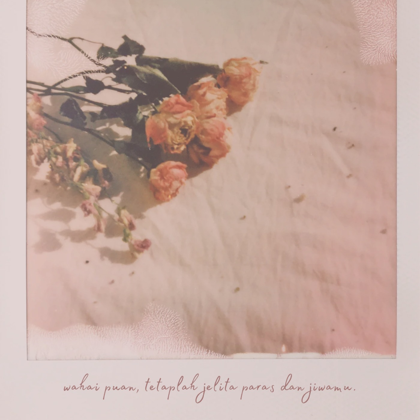 wahai puan, tetaplah jelita paras dan jiwamu. wahai puan, tetaplah jelita paras dan jiwamu.