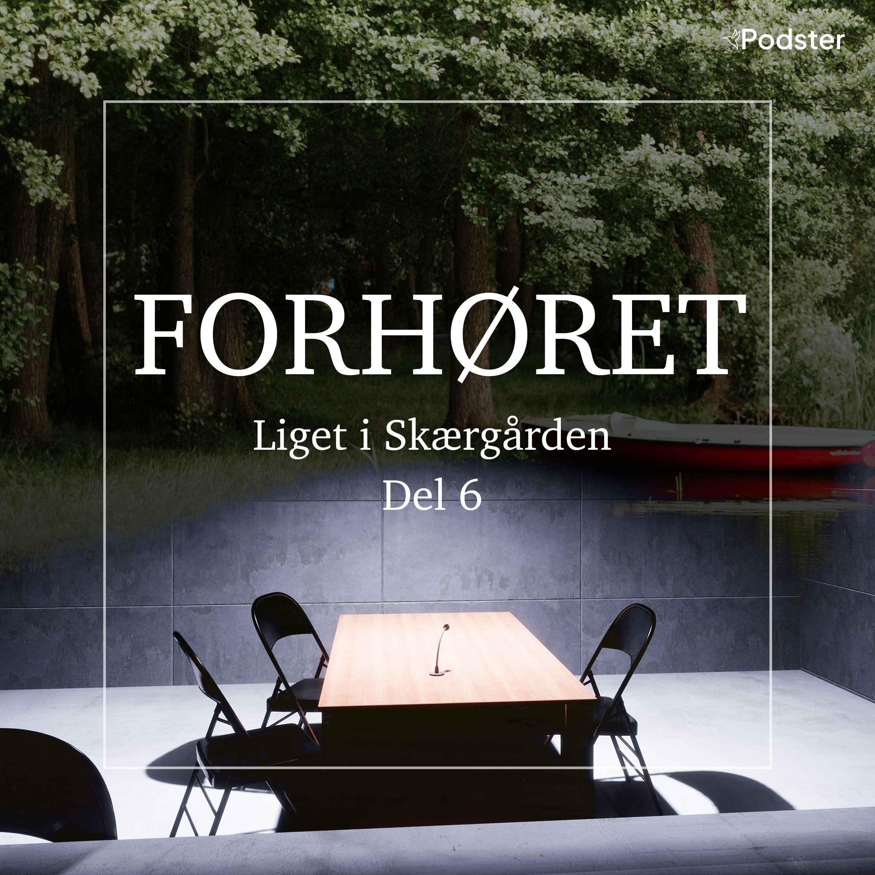 cover art for Liget i Skærgården - del 6