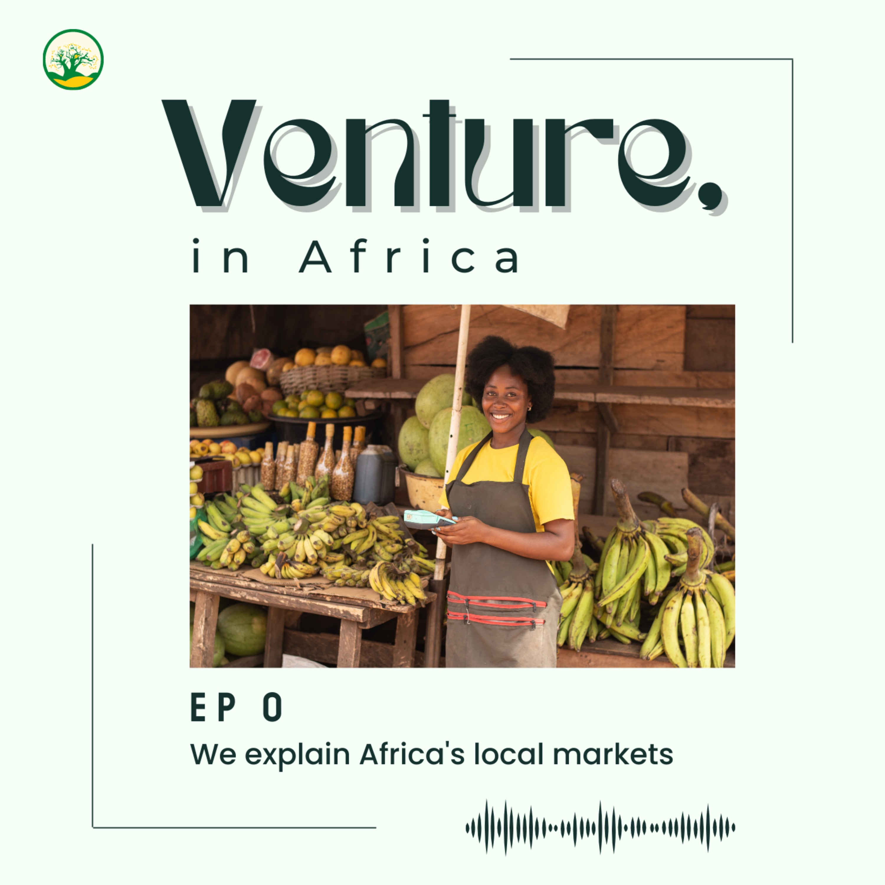 Africa\'s Market Explained