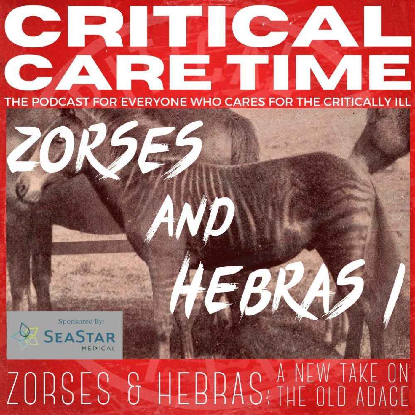 cover art for 5. Zorses and Hebras 