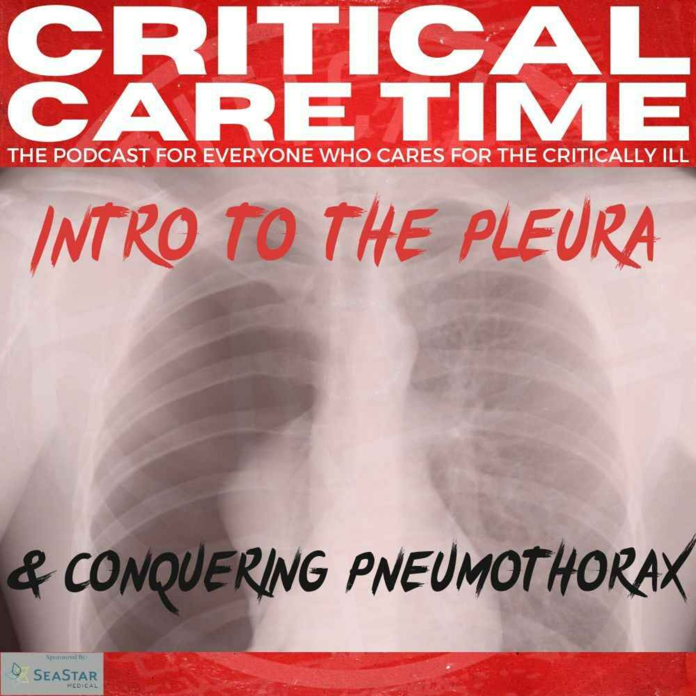10. Intro to The Pleura & Conquering