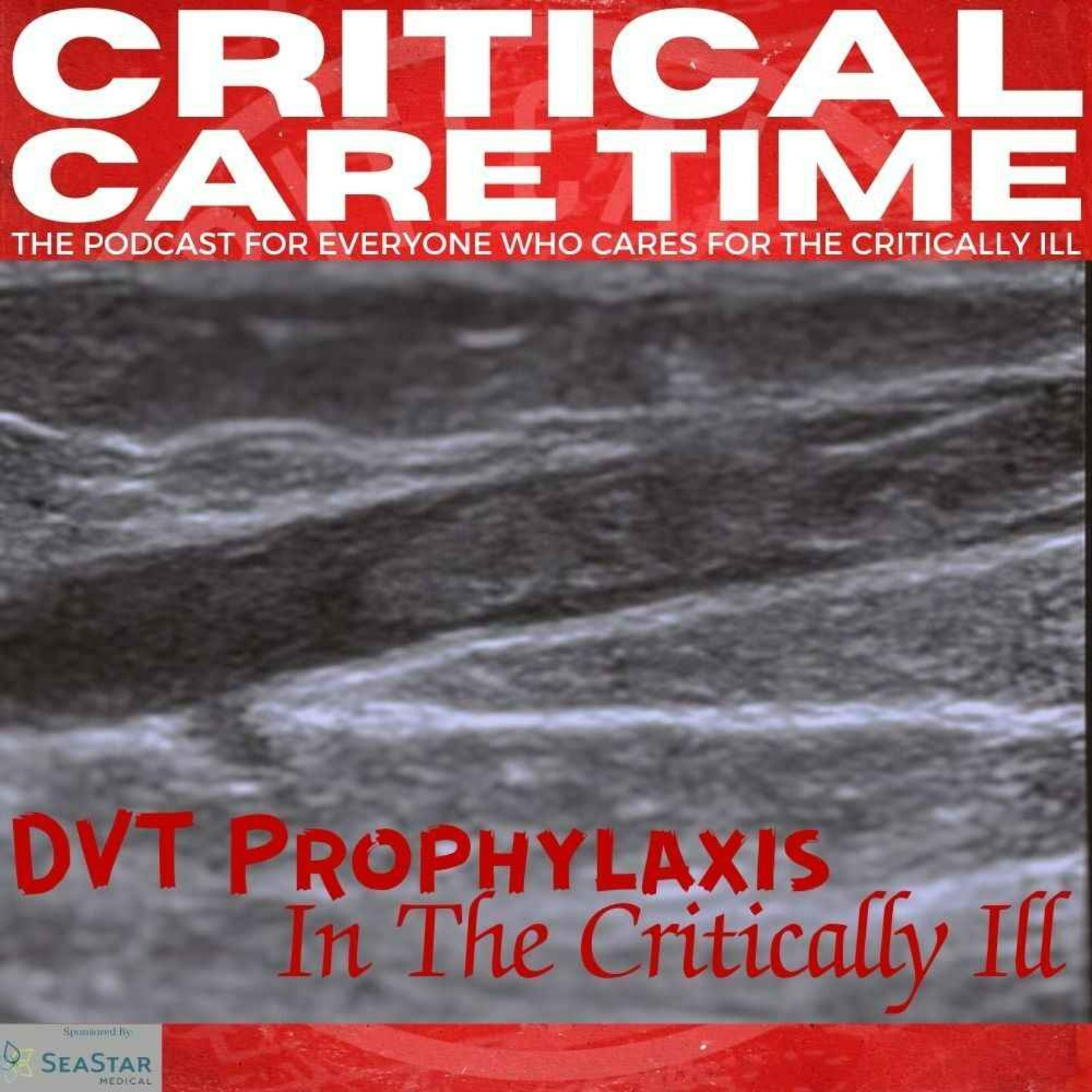 cover art for 12. DVT Prophylaxis In The Critically Ill