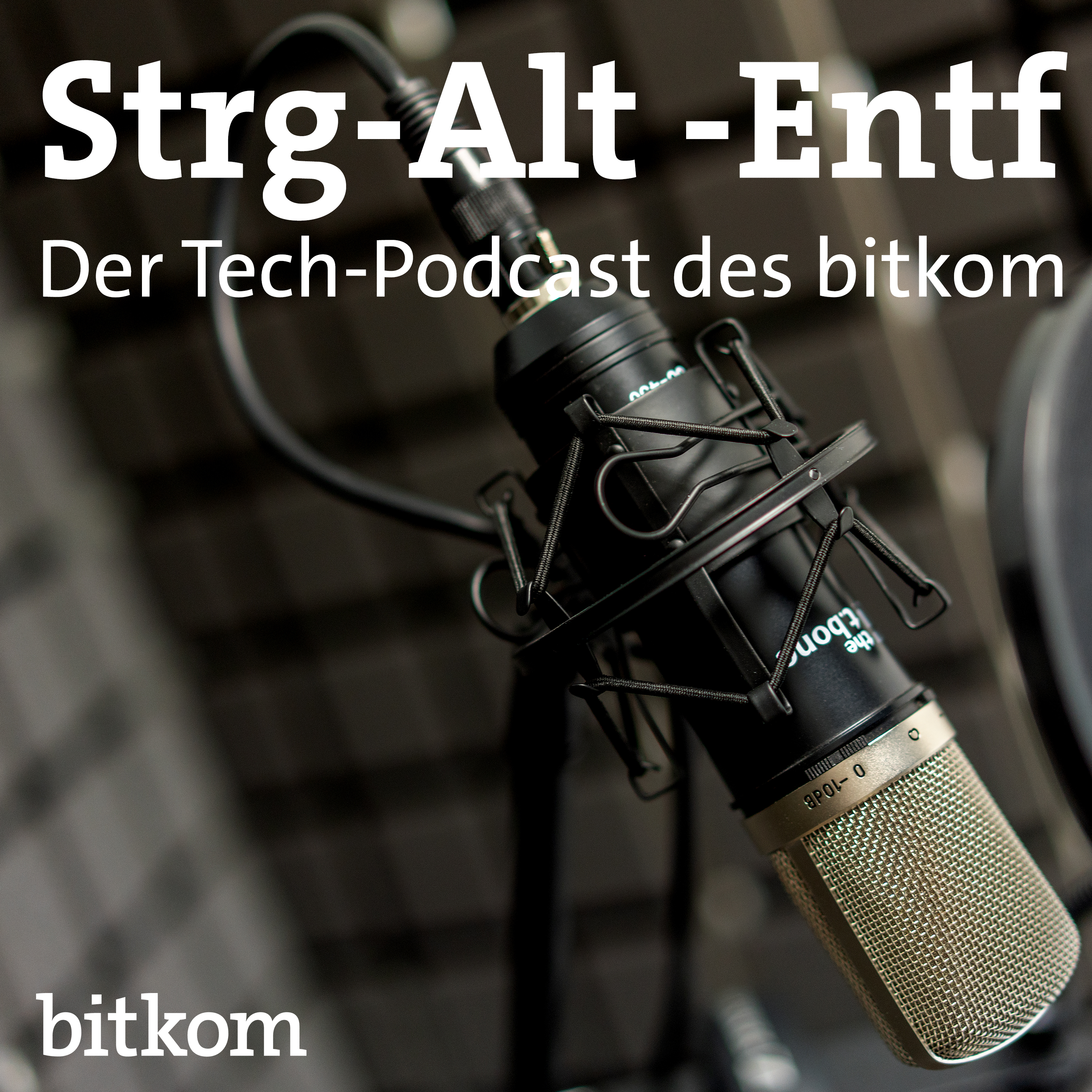 Folge 36.0 - Policy Pitch: Was planen die Parteien für die Digitale Bildung? episode artwork