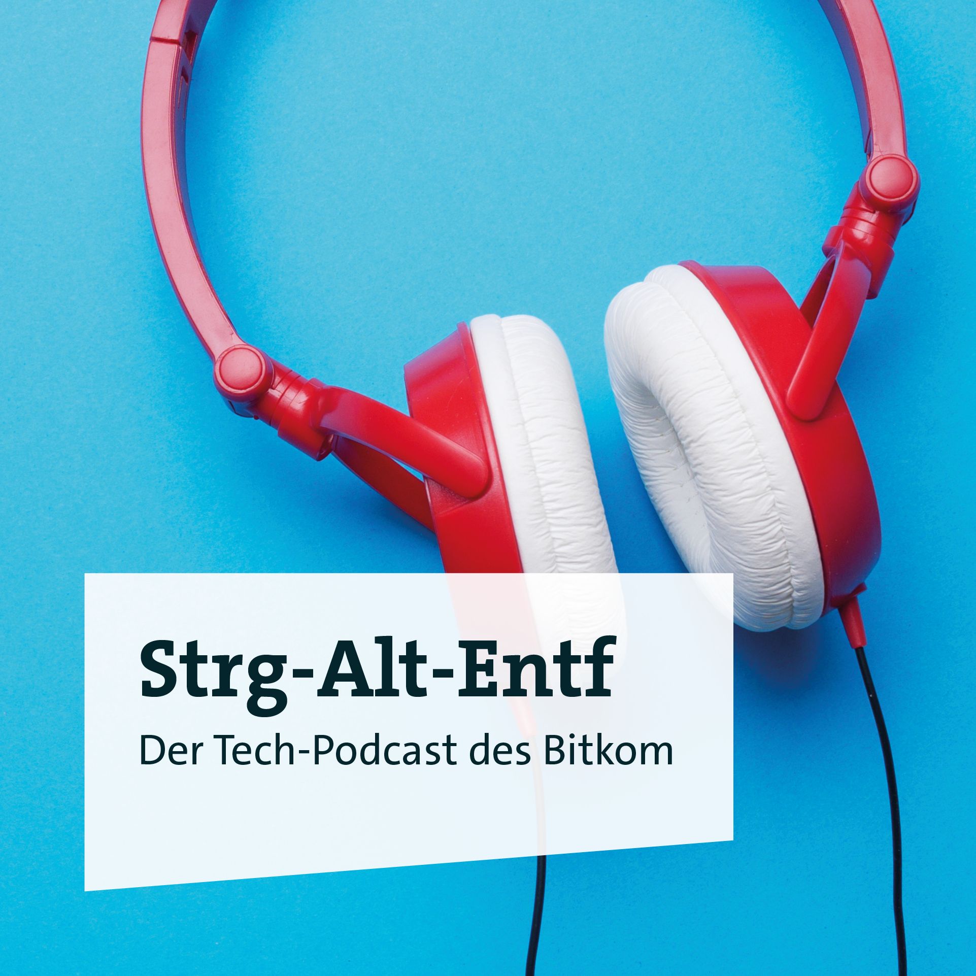 Bernhard Rohleder zu Gast beim Audible-Podcast "Ein Satz für Zwei" episode artwork