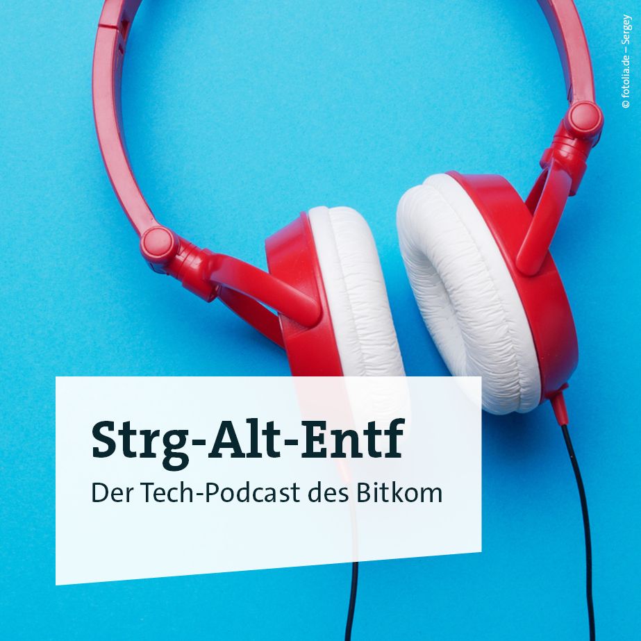 Folge 8.0: Die digitalpolitischen Ziele der Linken - Bitkom@8 mit Anke Domscheit-Berg episode artwork
