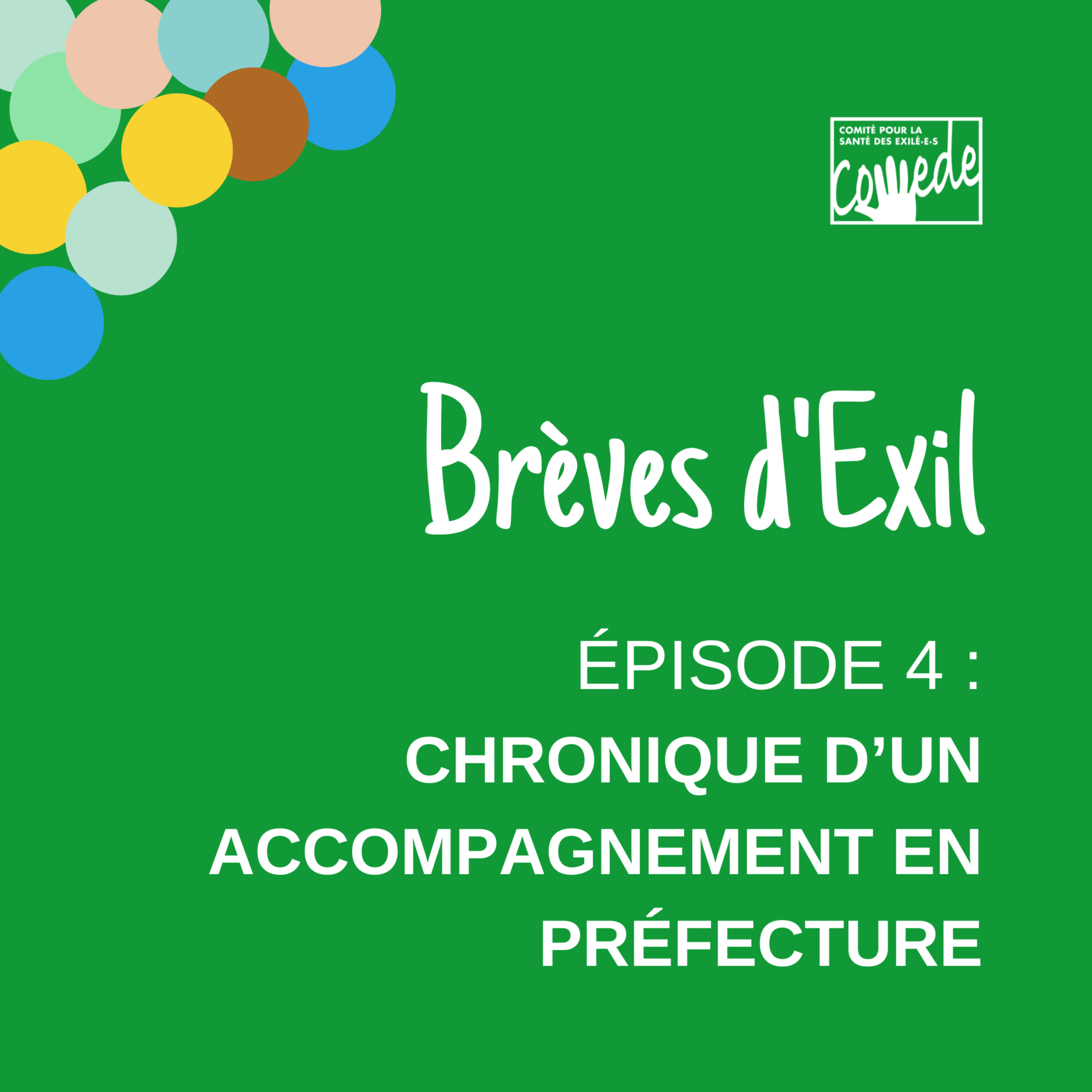 Episode 4 : chronique d'un accompagnement en préfecture 