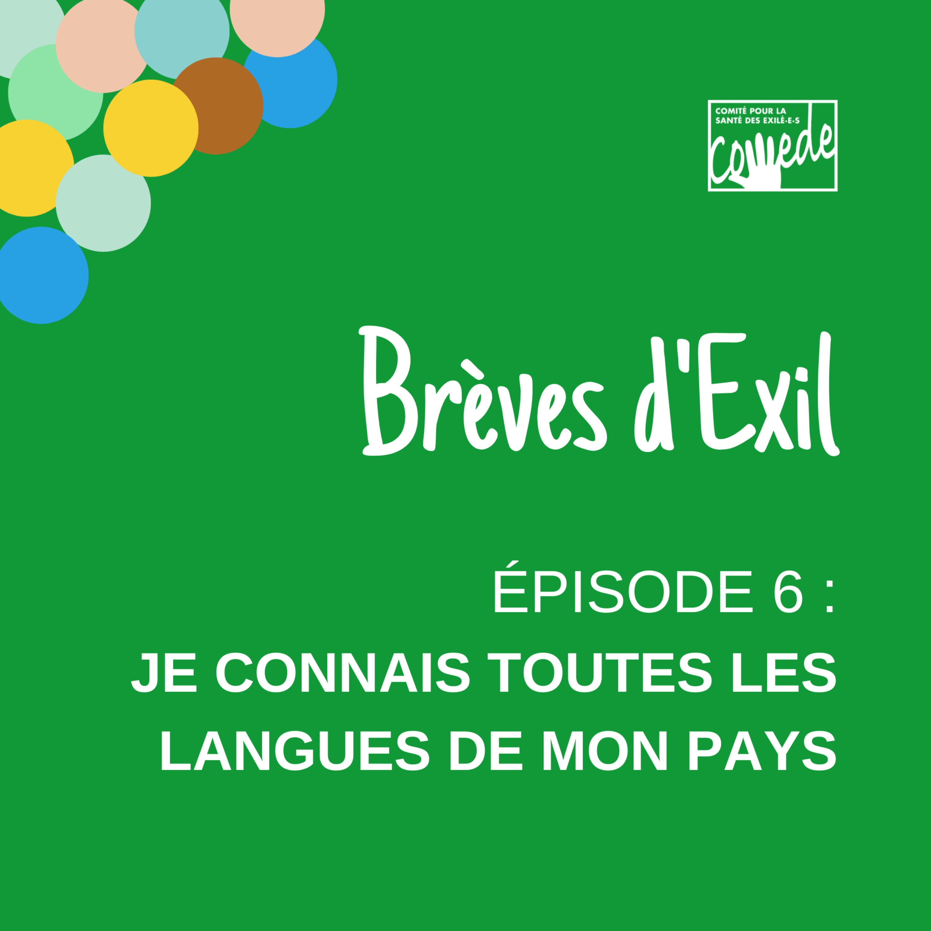 Episode 6 : je connais toutes les langues de mon pays episode artwork