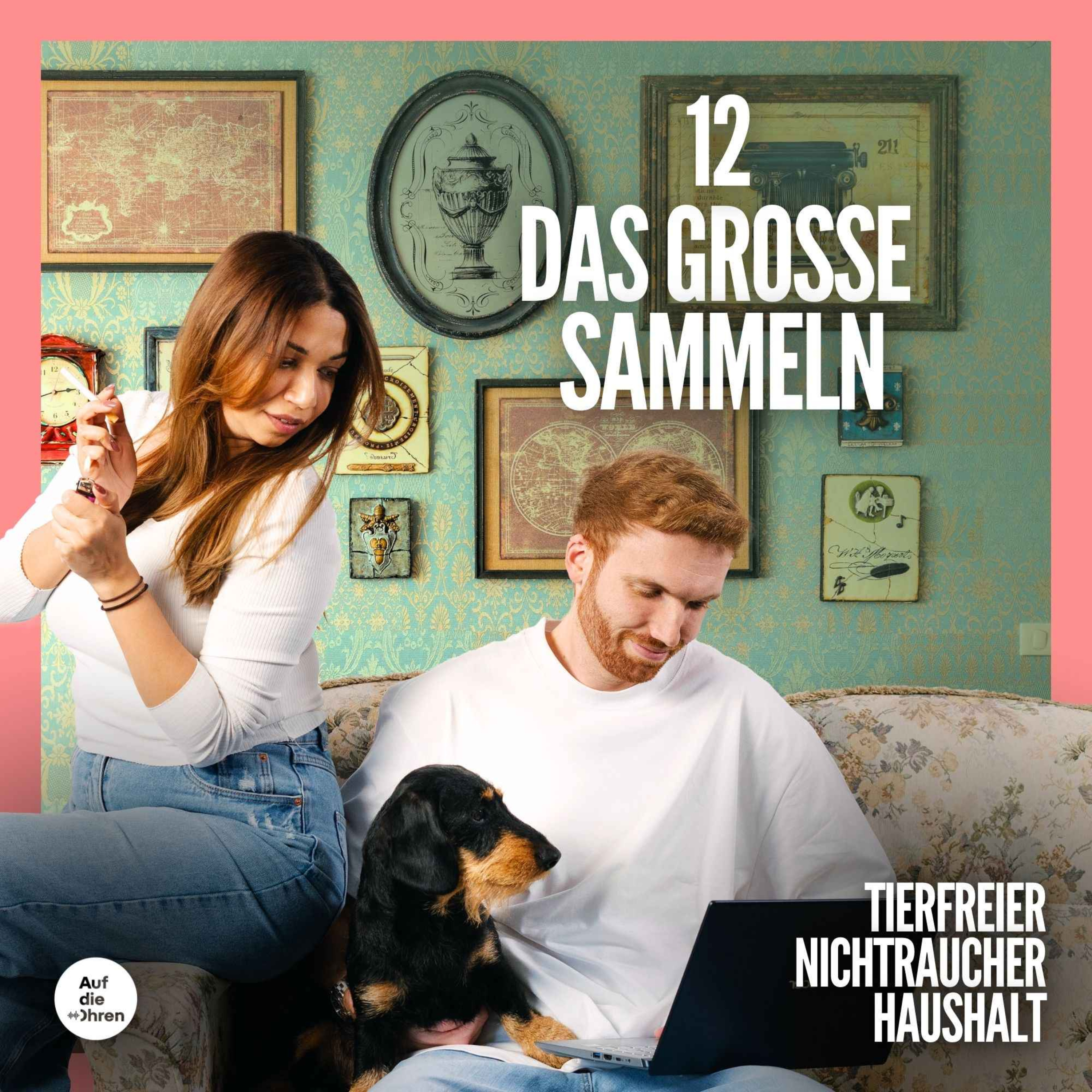 cover art for 12 Das große Sammeln