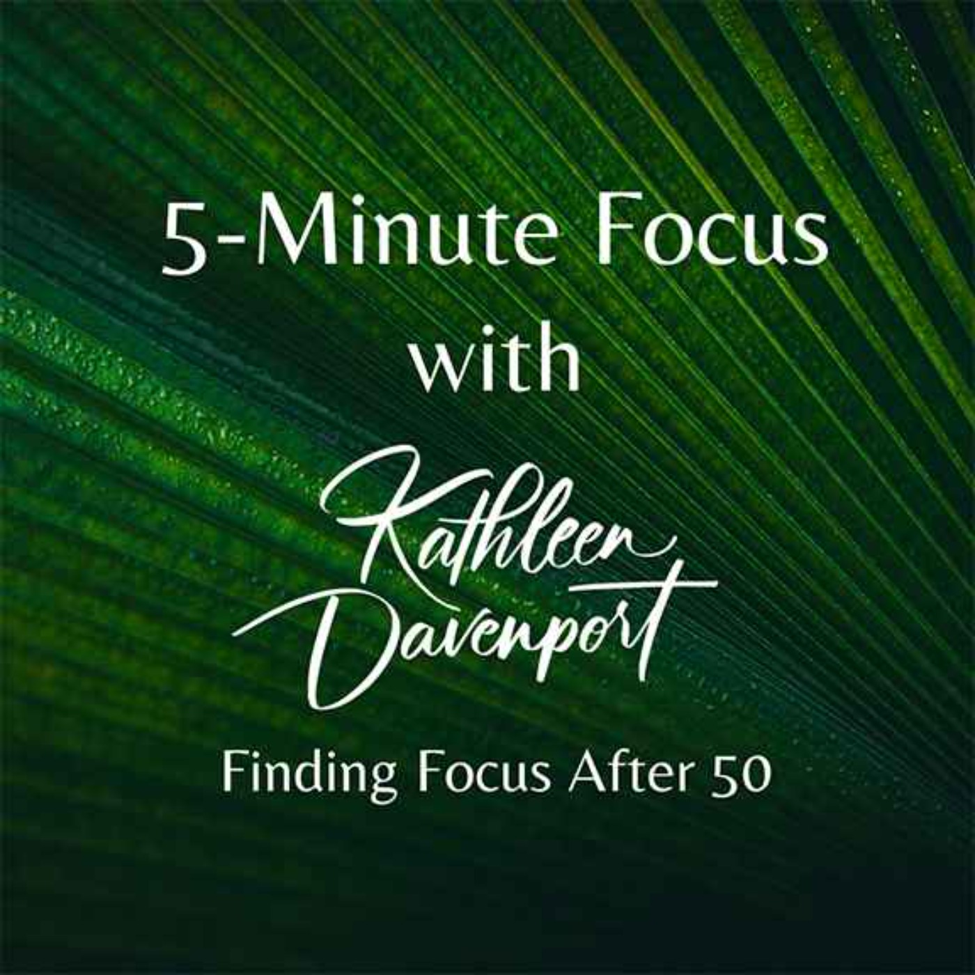 5 Minute Focus That S A Good Shot Finding Focus After 50 With