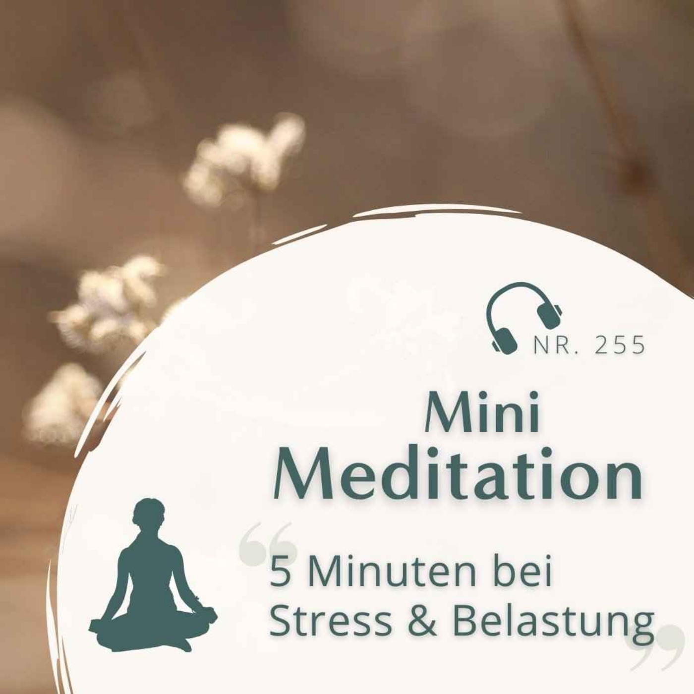 Meditation Nr. 255 // 5 Minuten bei Stress und Belastung
