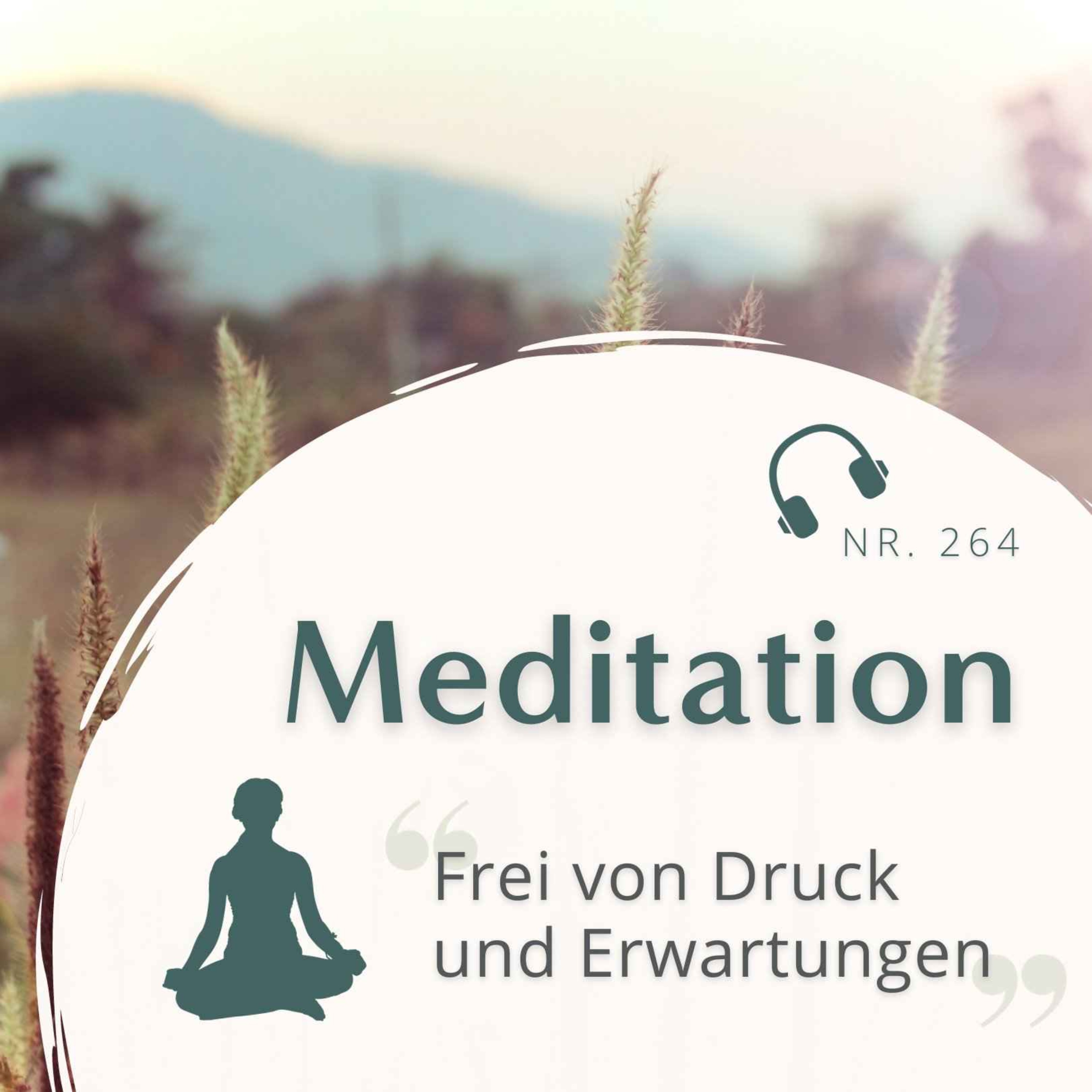 cover art for Meditation Nr. 264 // Frei von Druck und Erwartungen